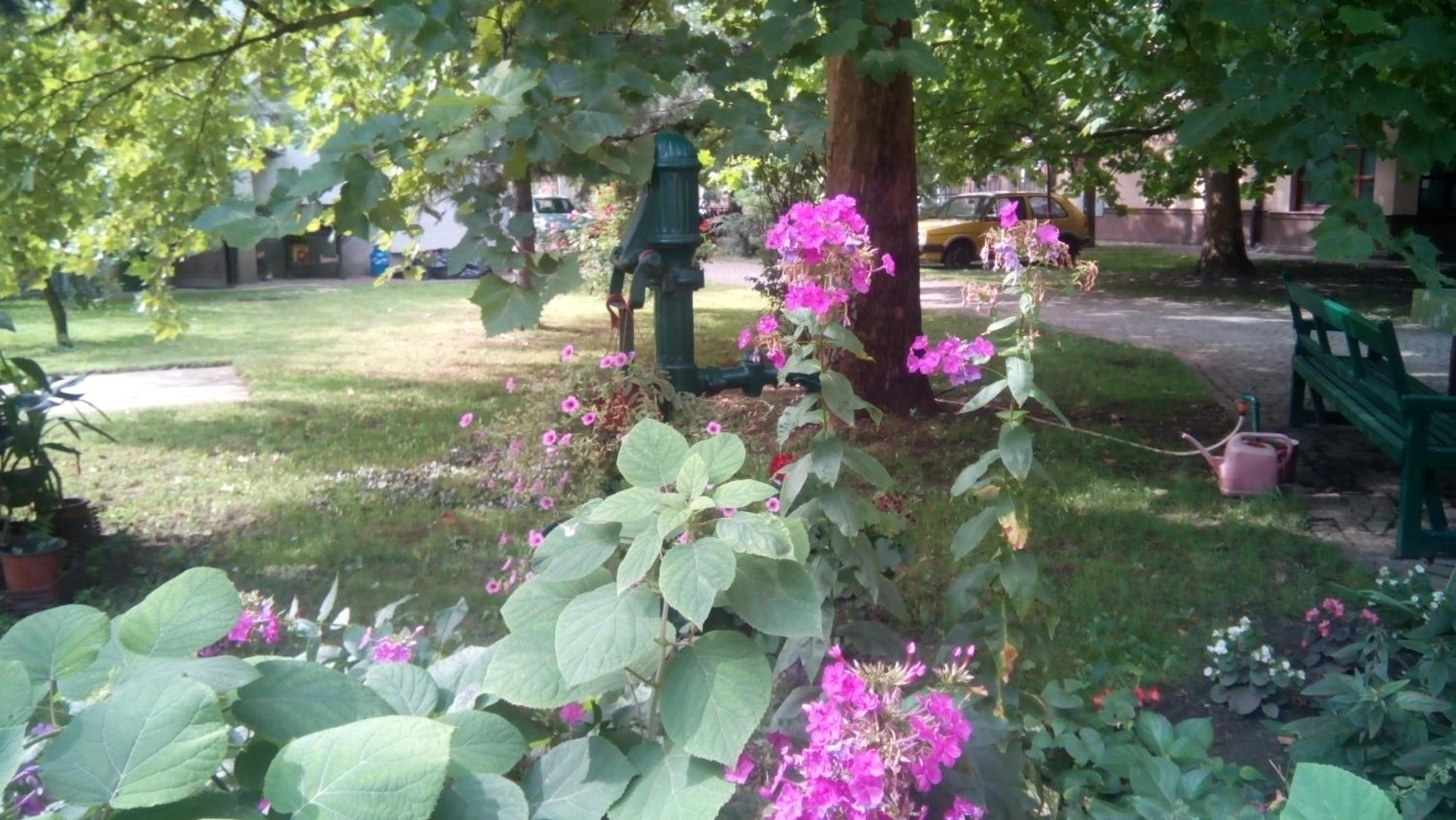 Photo 28