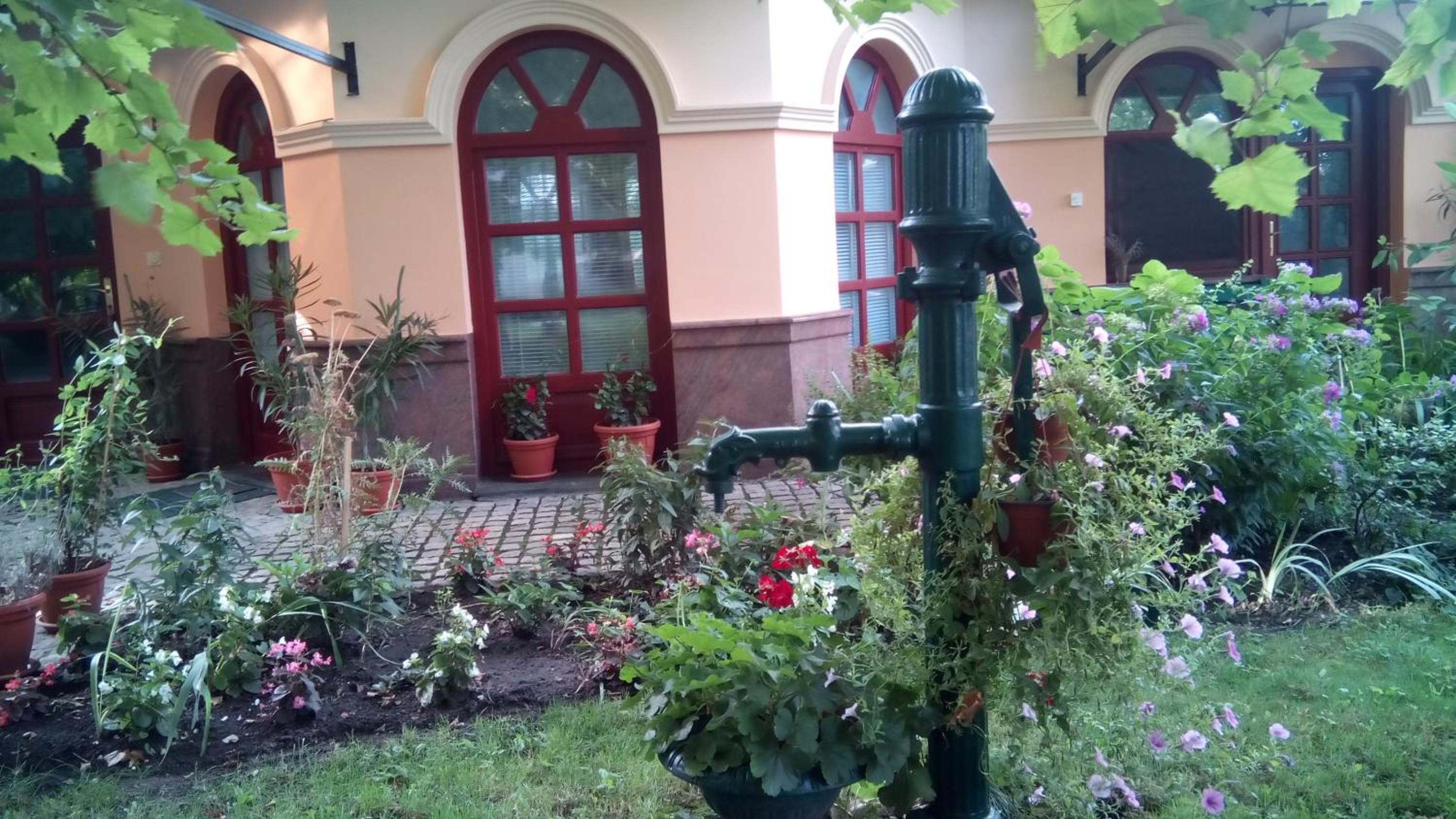 Photo 41
