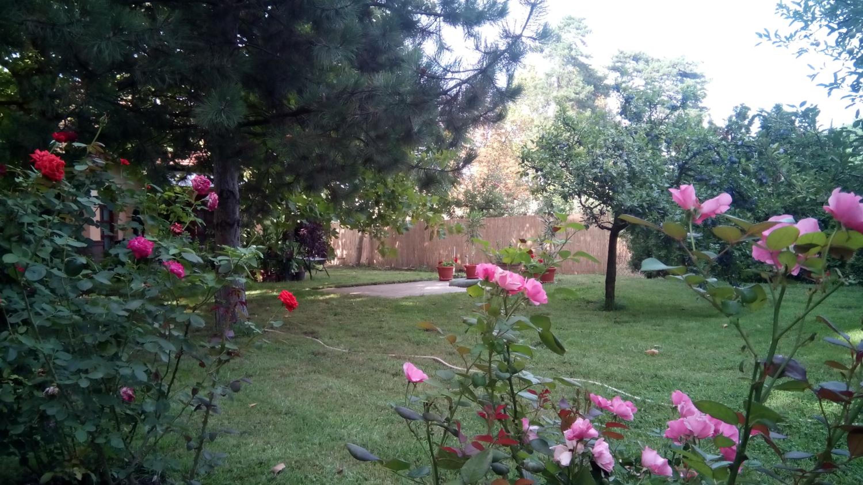Photo 43
