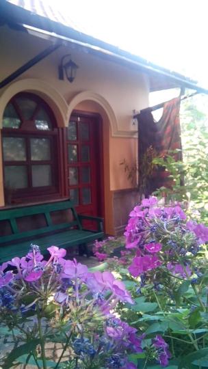 Photo 44
