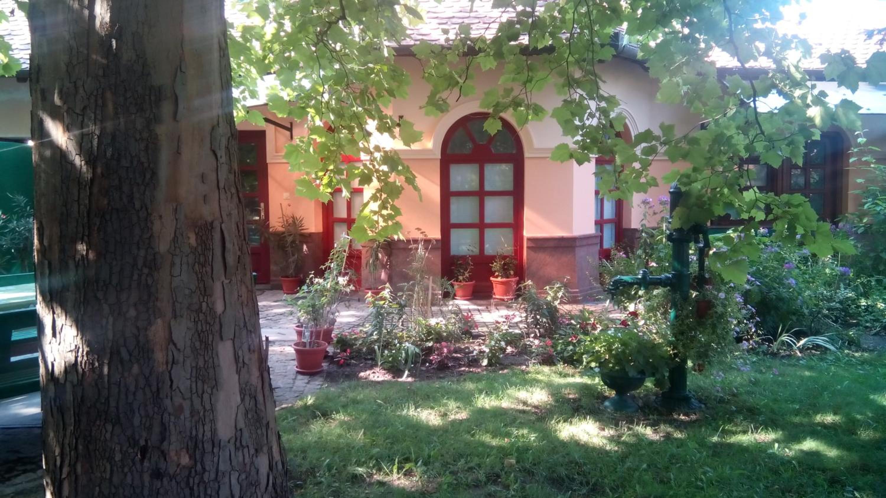 Photo 45