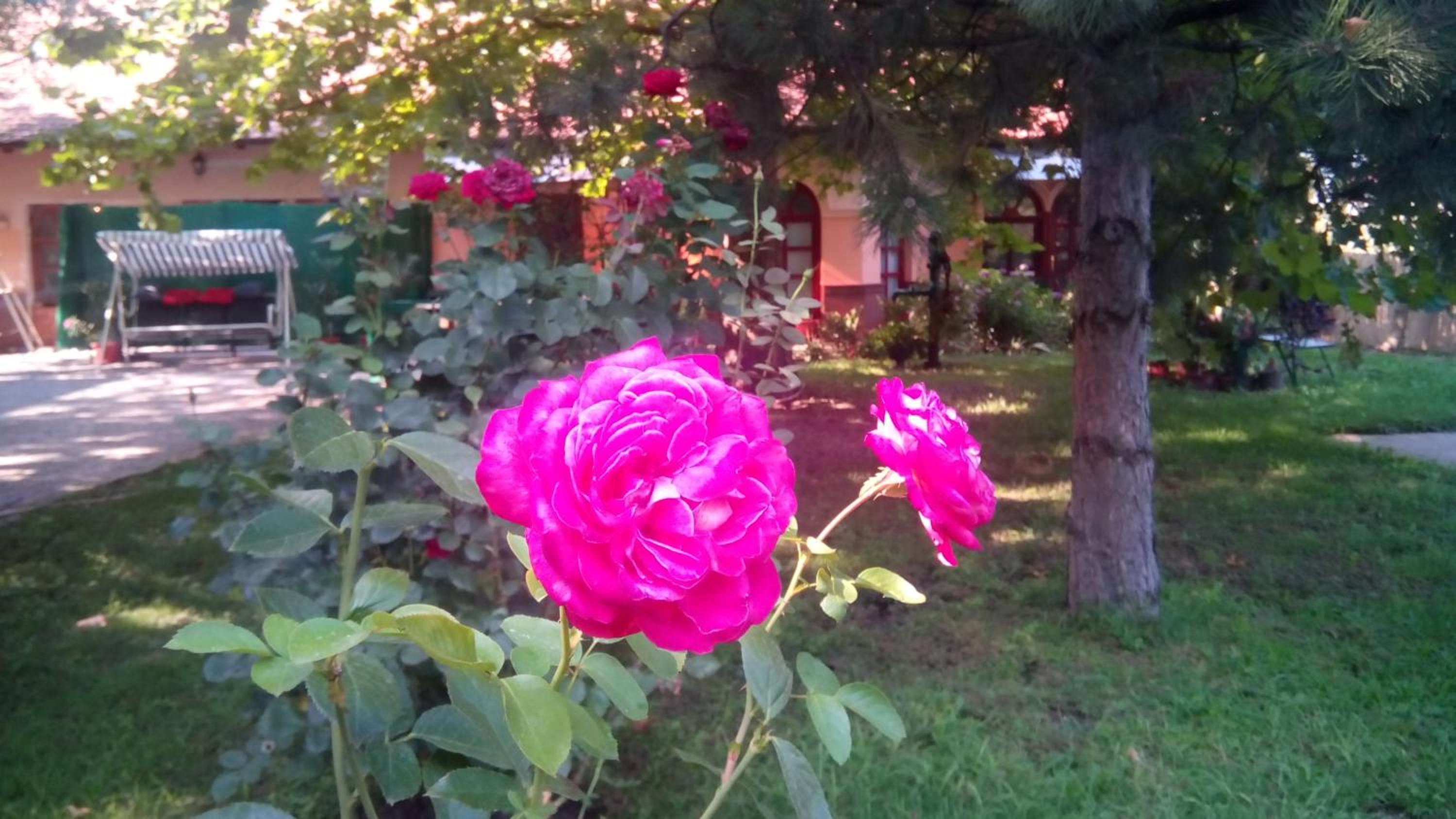 Photo 47