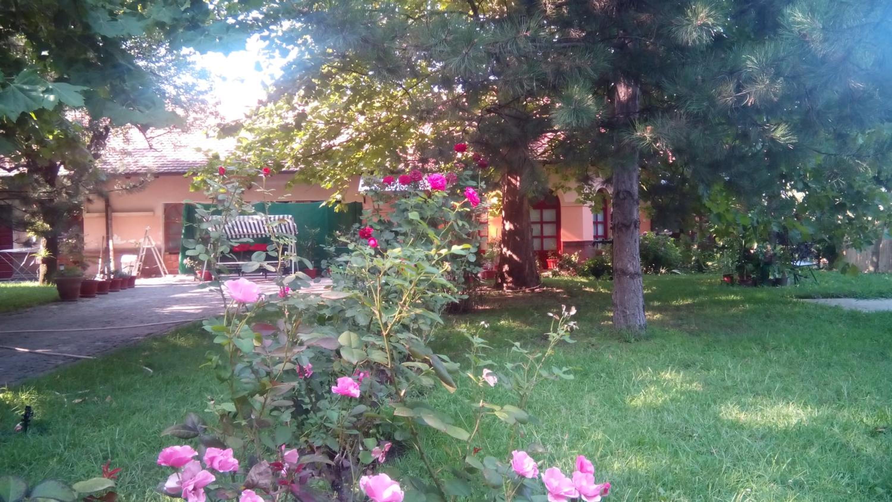Photo 48
