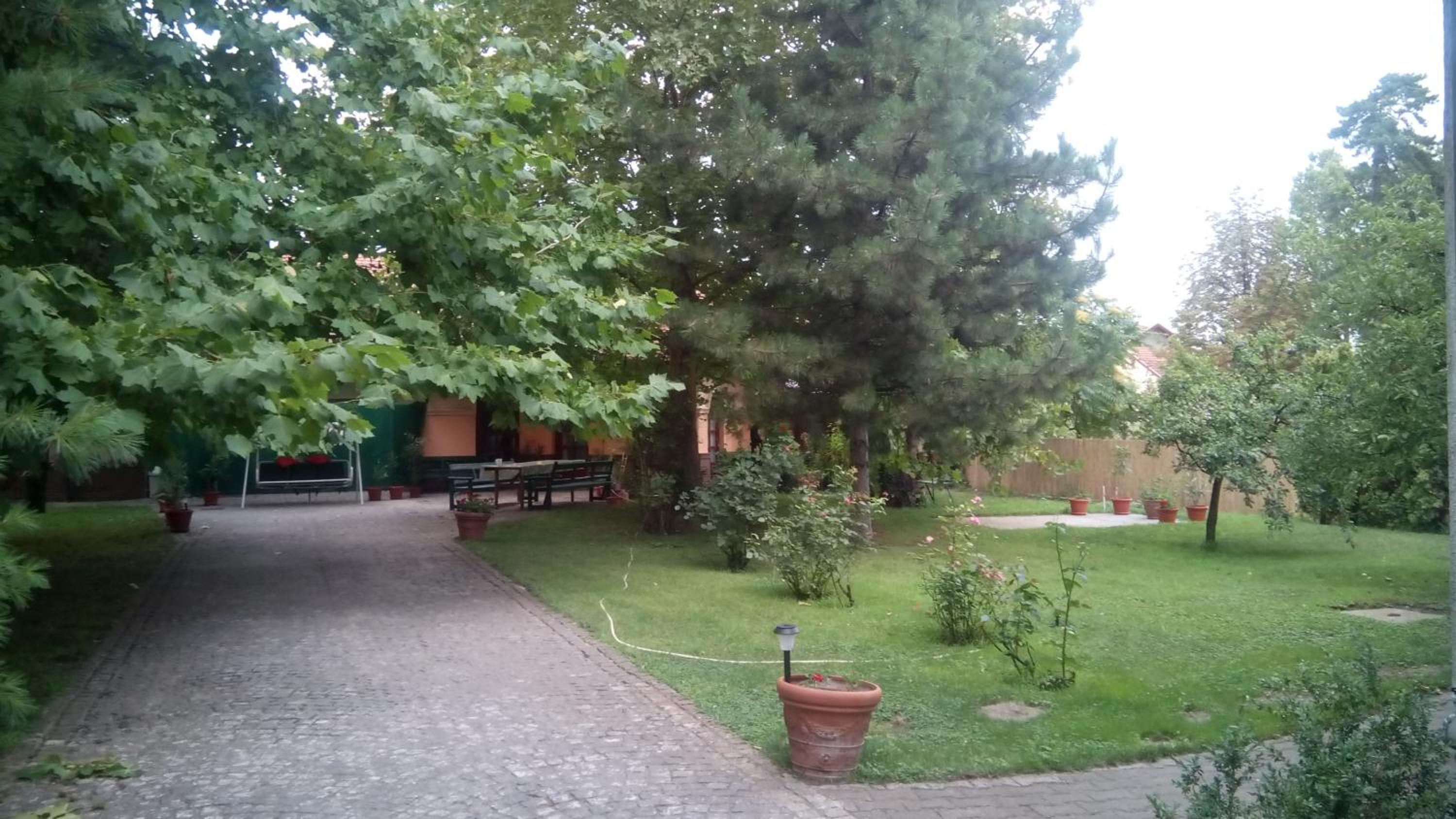 Photo 49