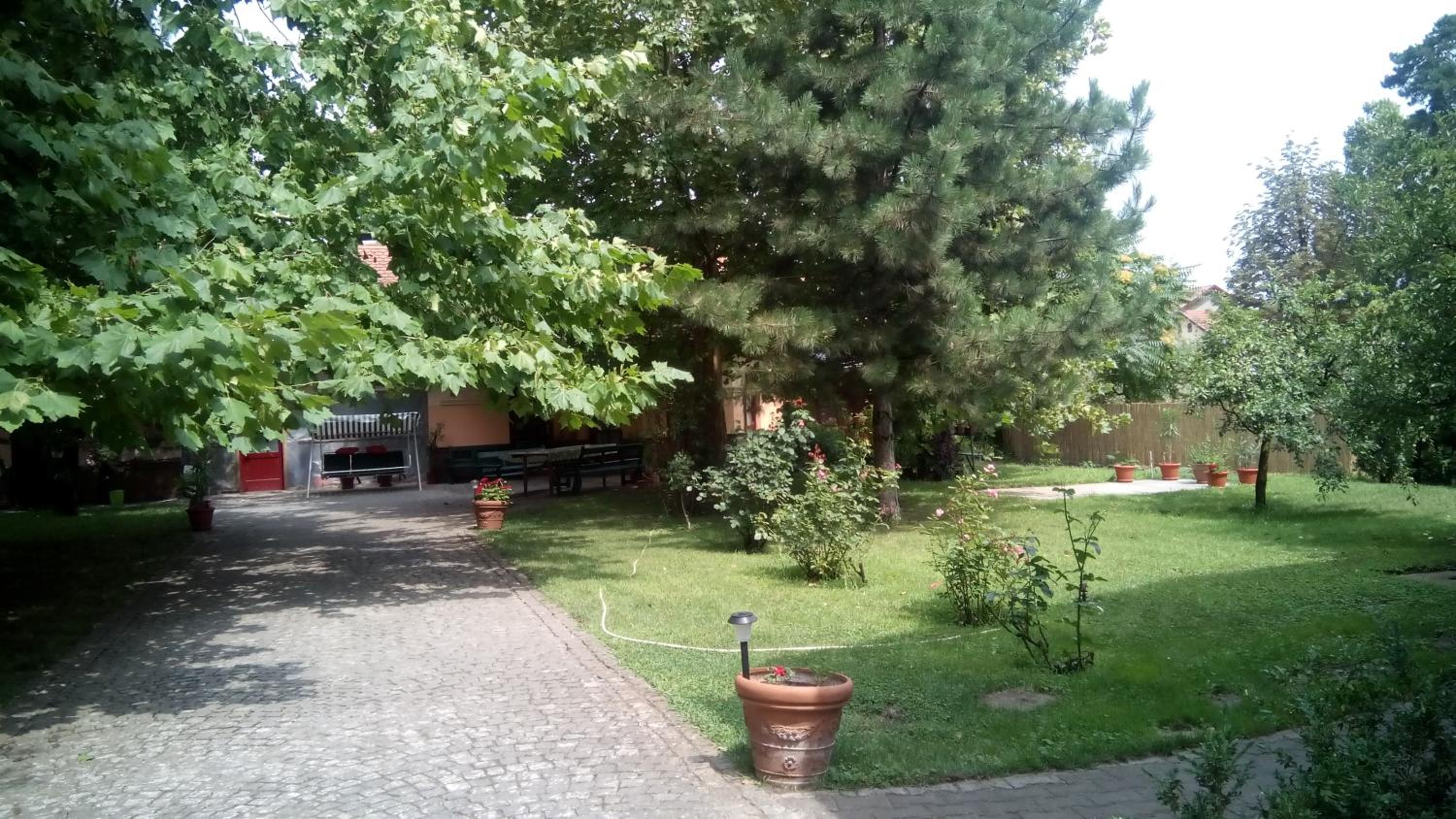Photo 54