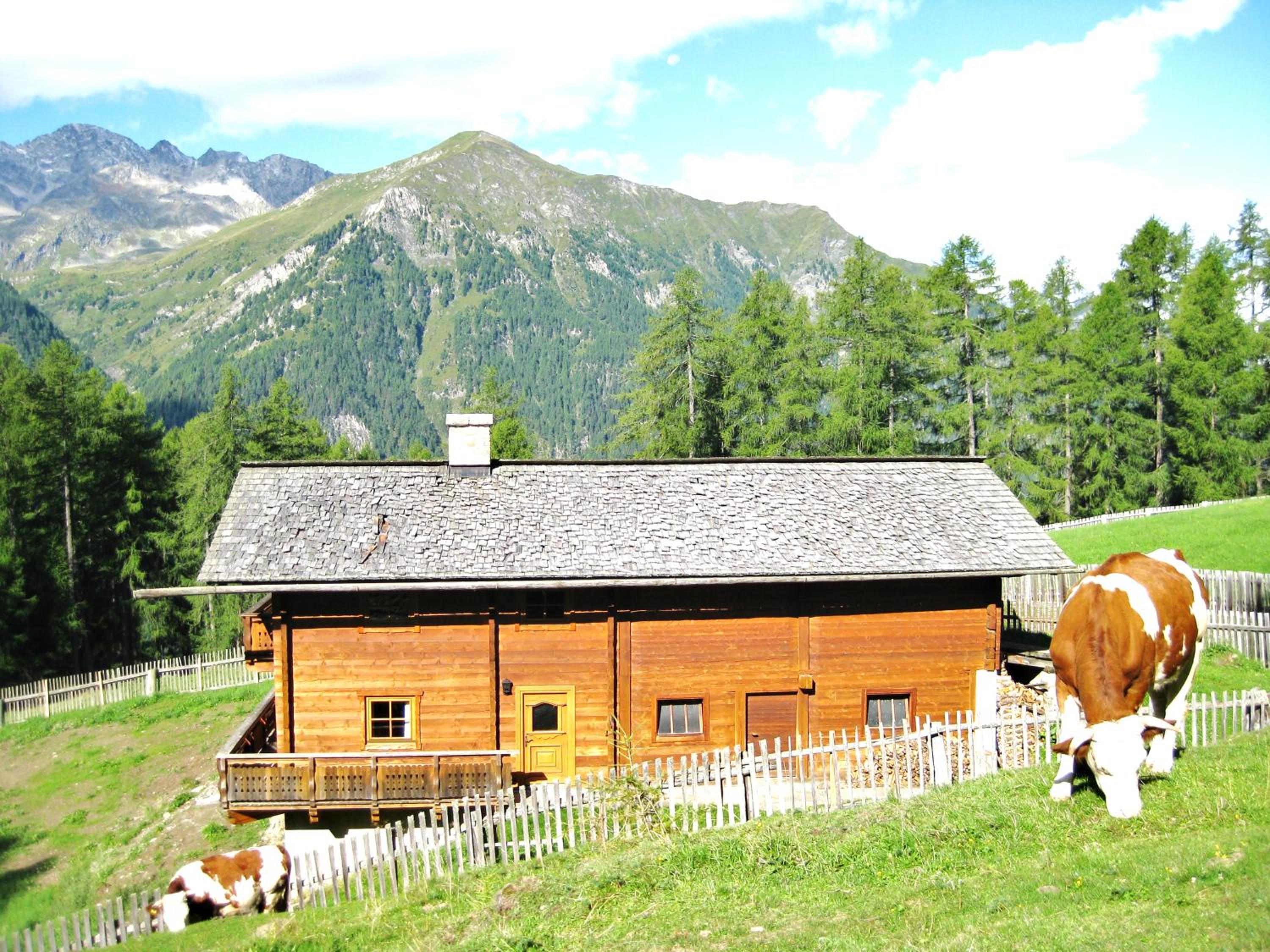 Almhütte Adlerhorst
