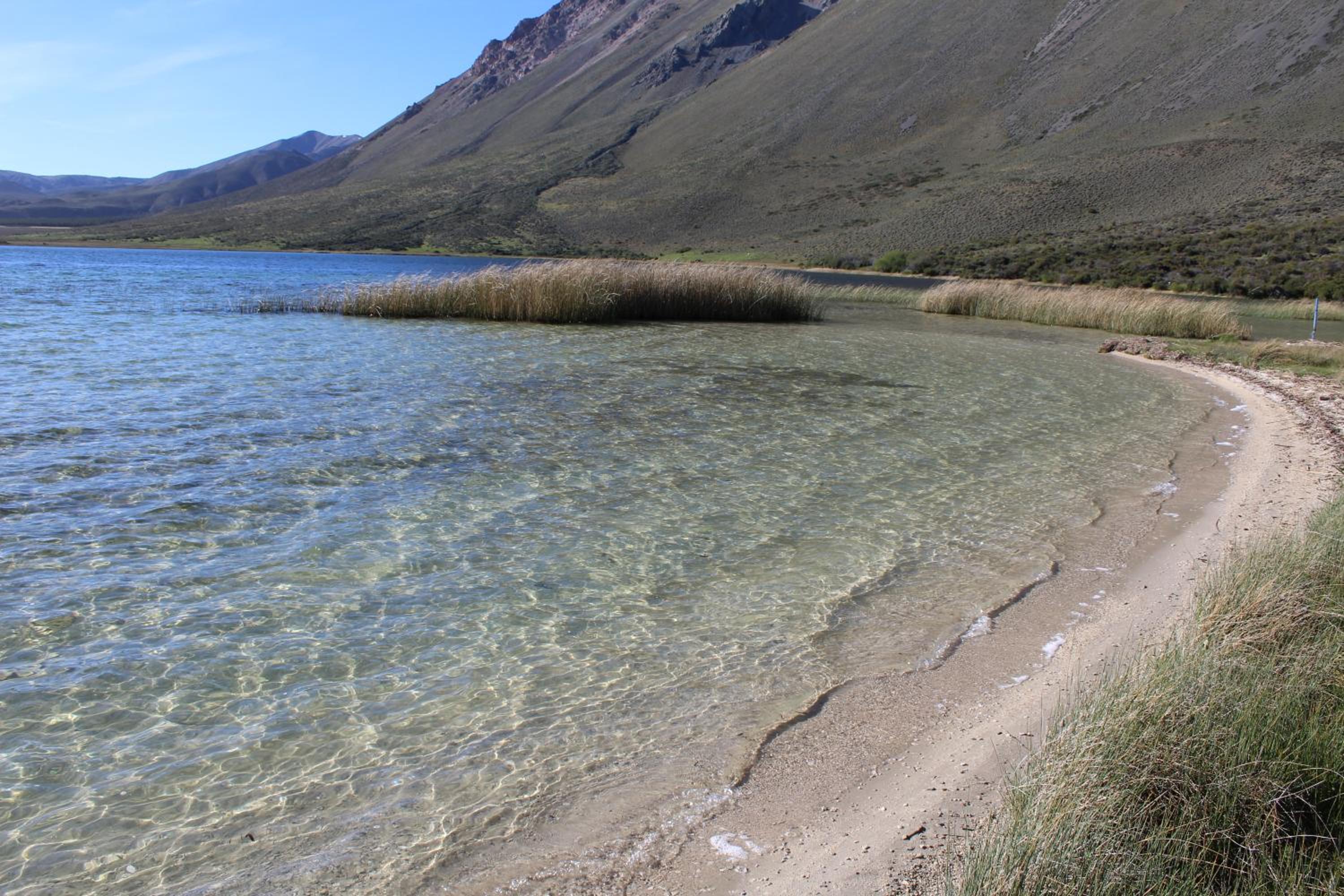 Maitenes Del Percy