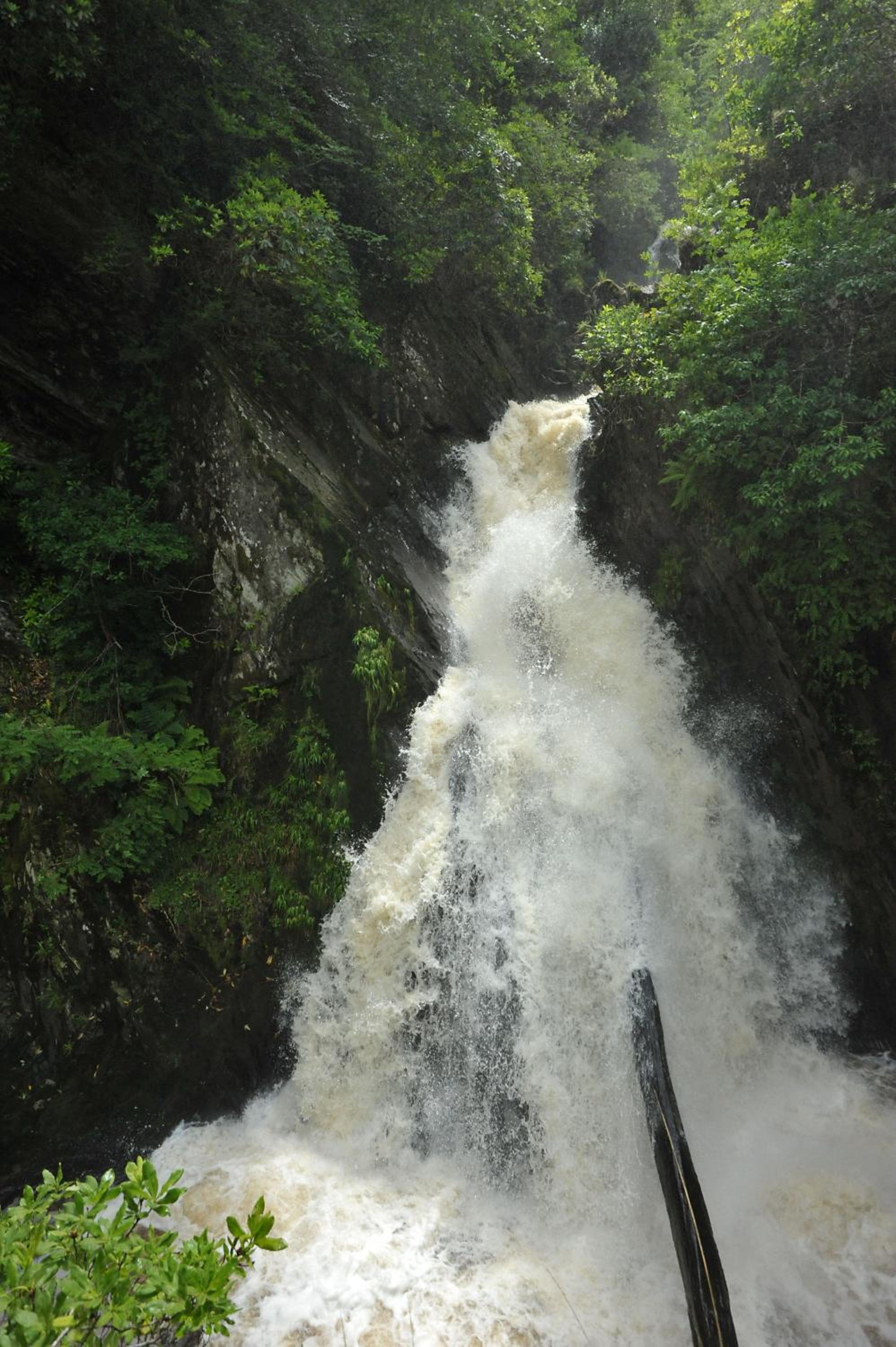 Photo 45