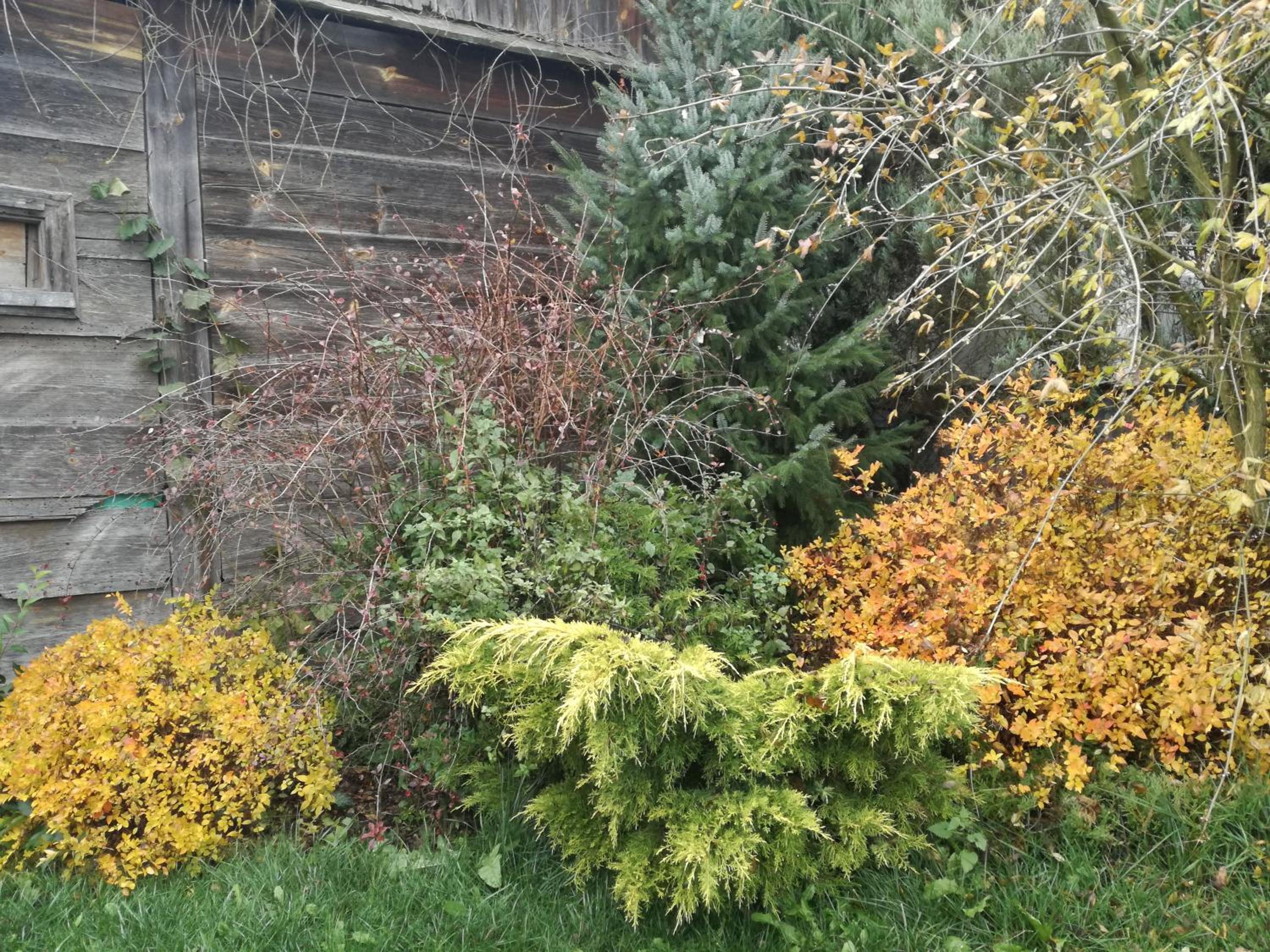 Photo 45