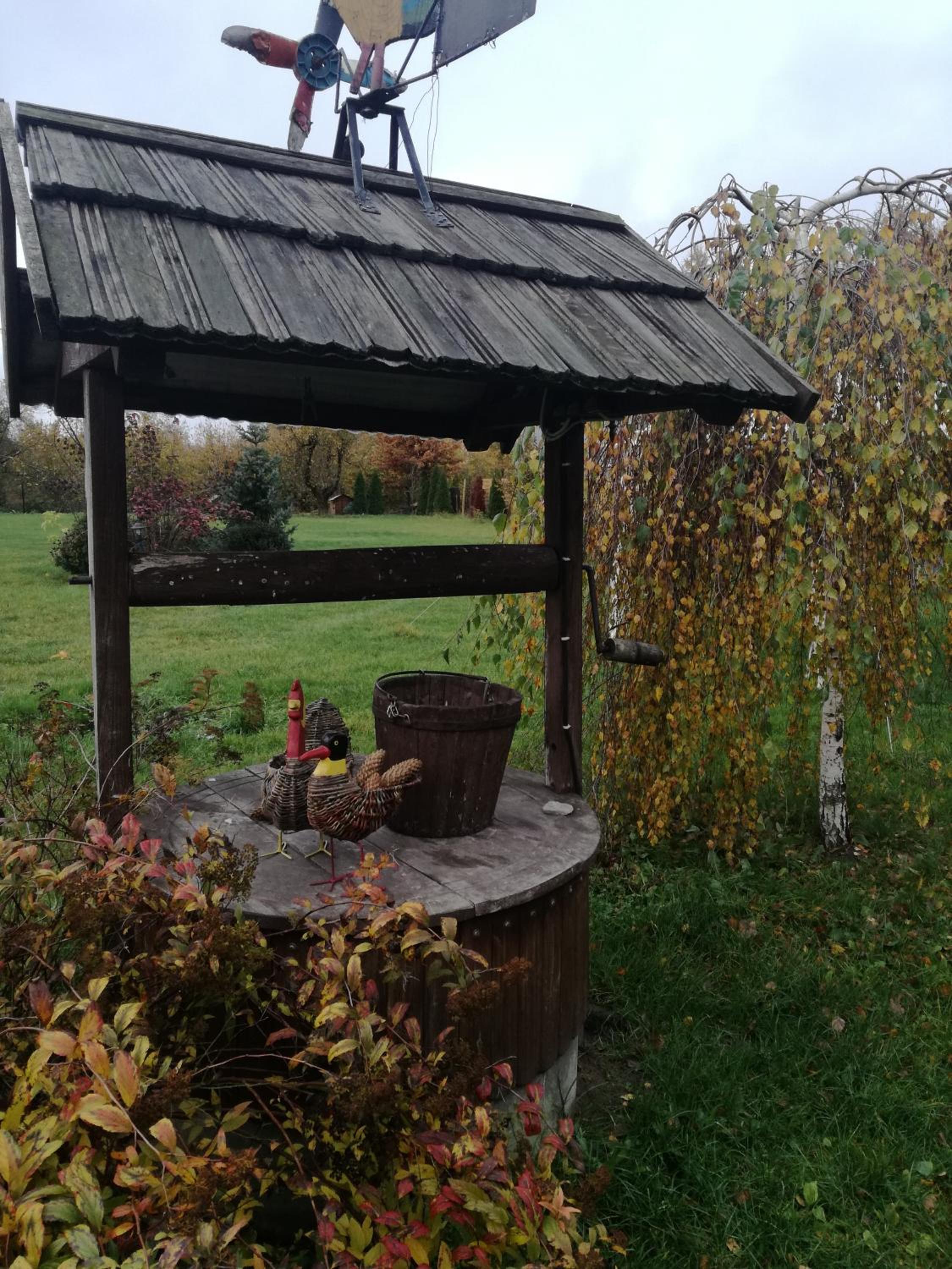 Photo 44