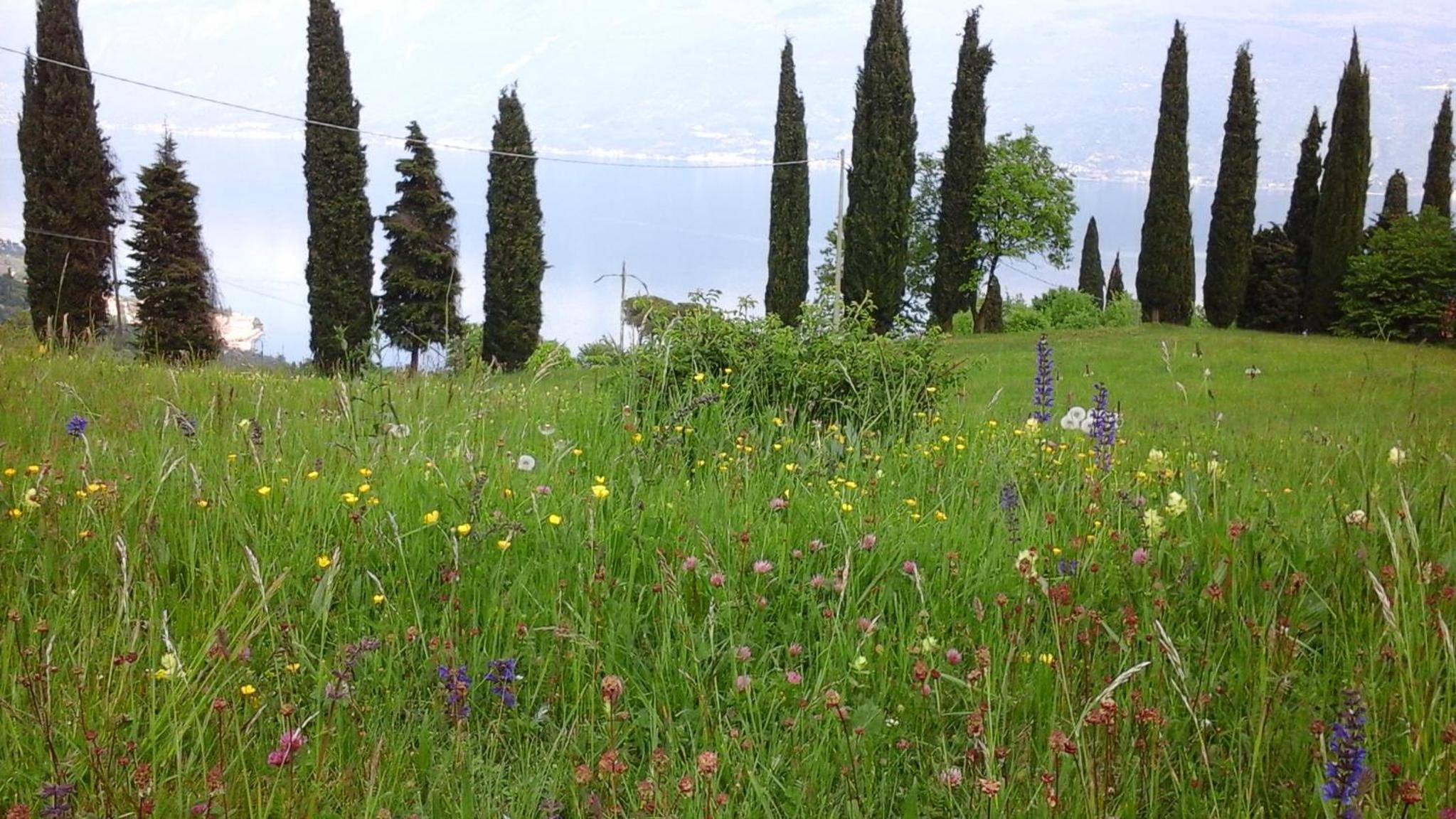 Agriturismo Casa del Castagneto