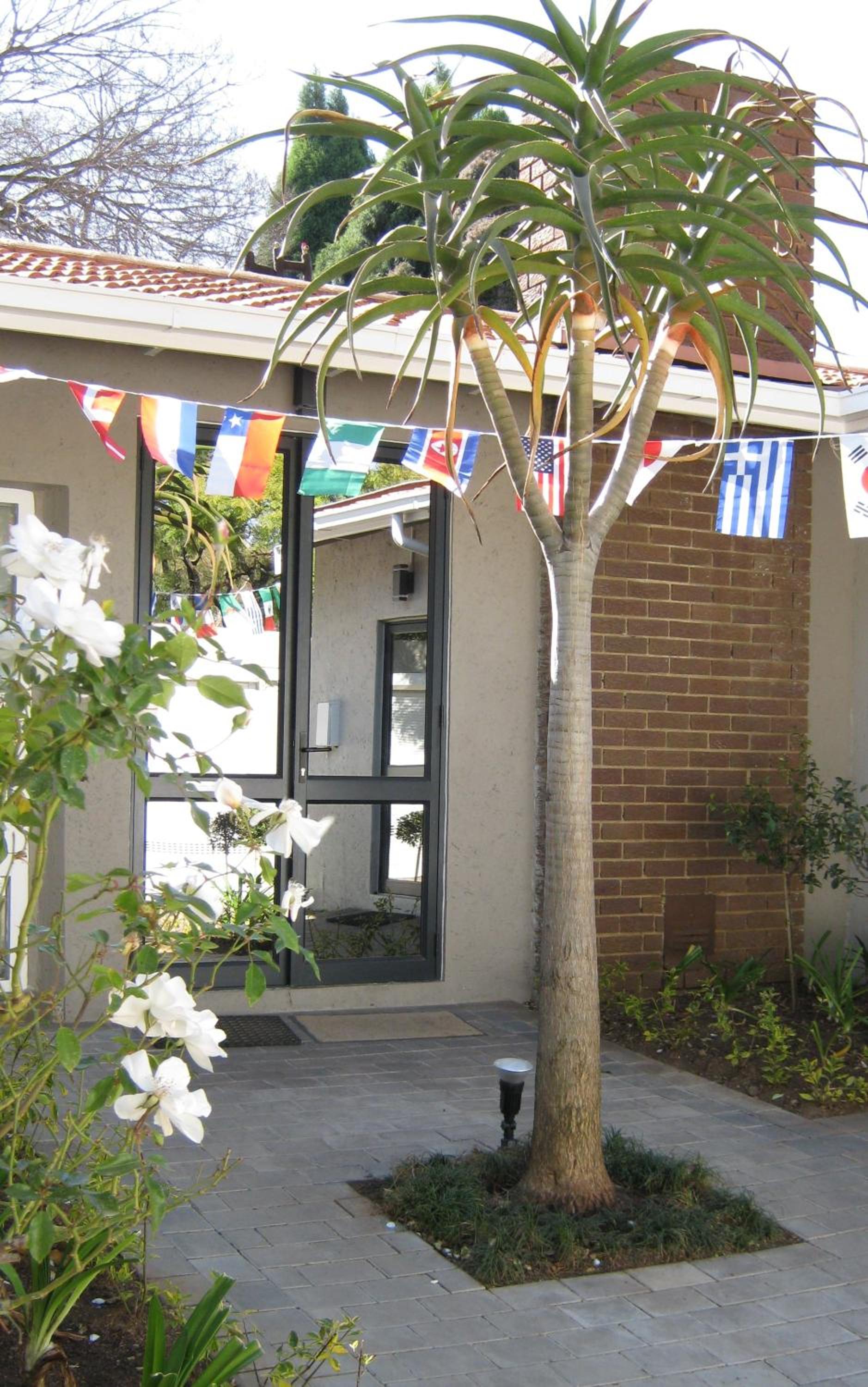 Rosebank Lodge Guesthouse by Claires