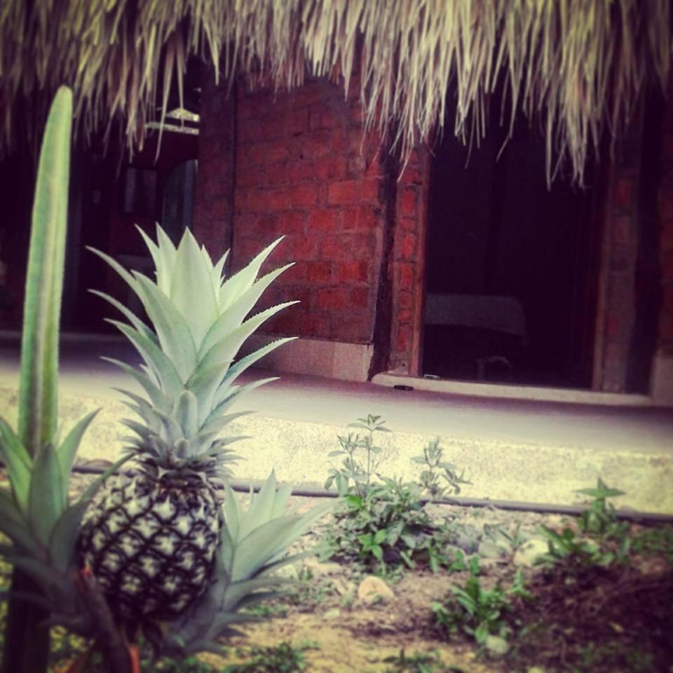 Photo 41