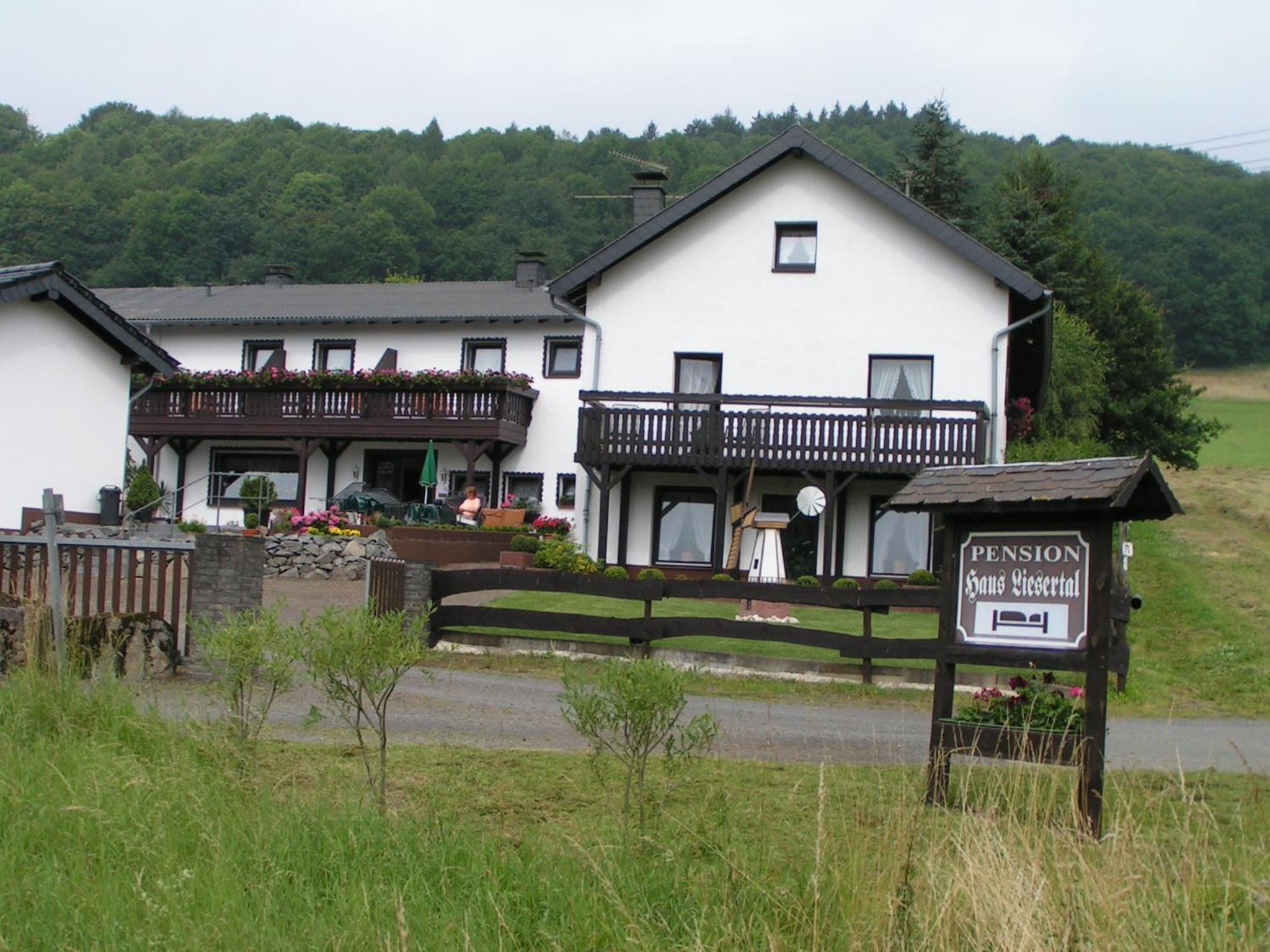 Pension Haus Liesertal view 3