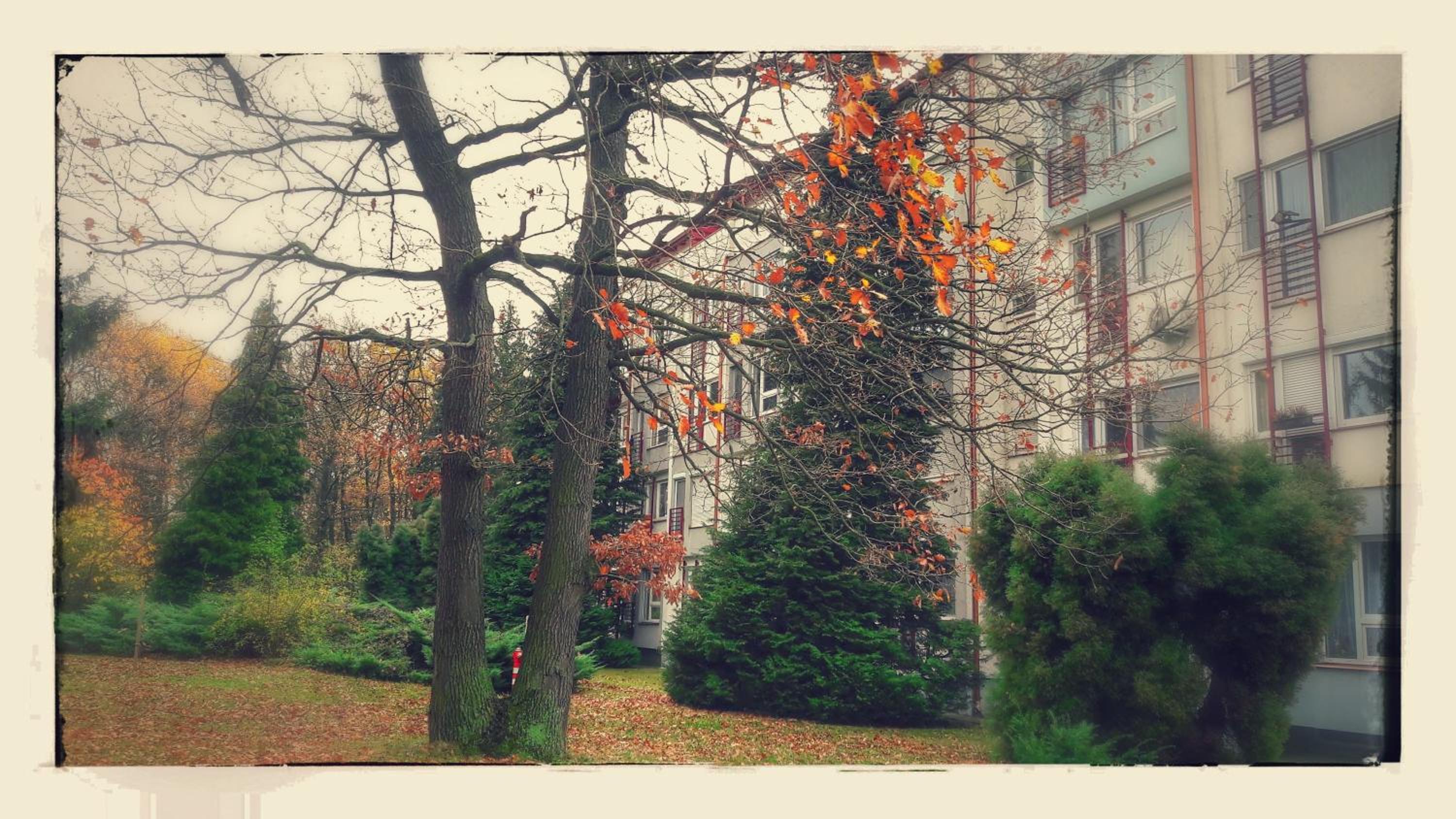 Photo 33