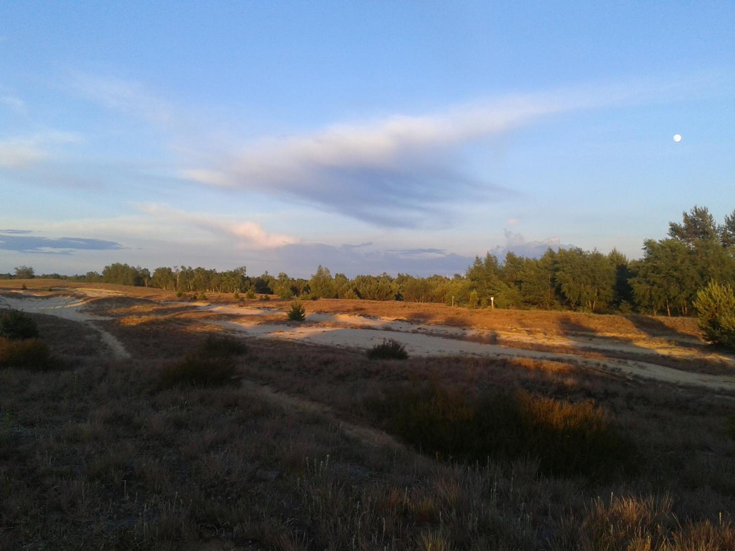 Photo 57