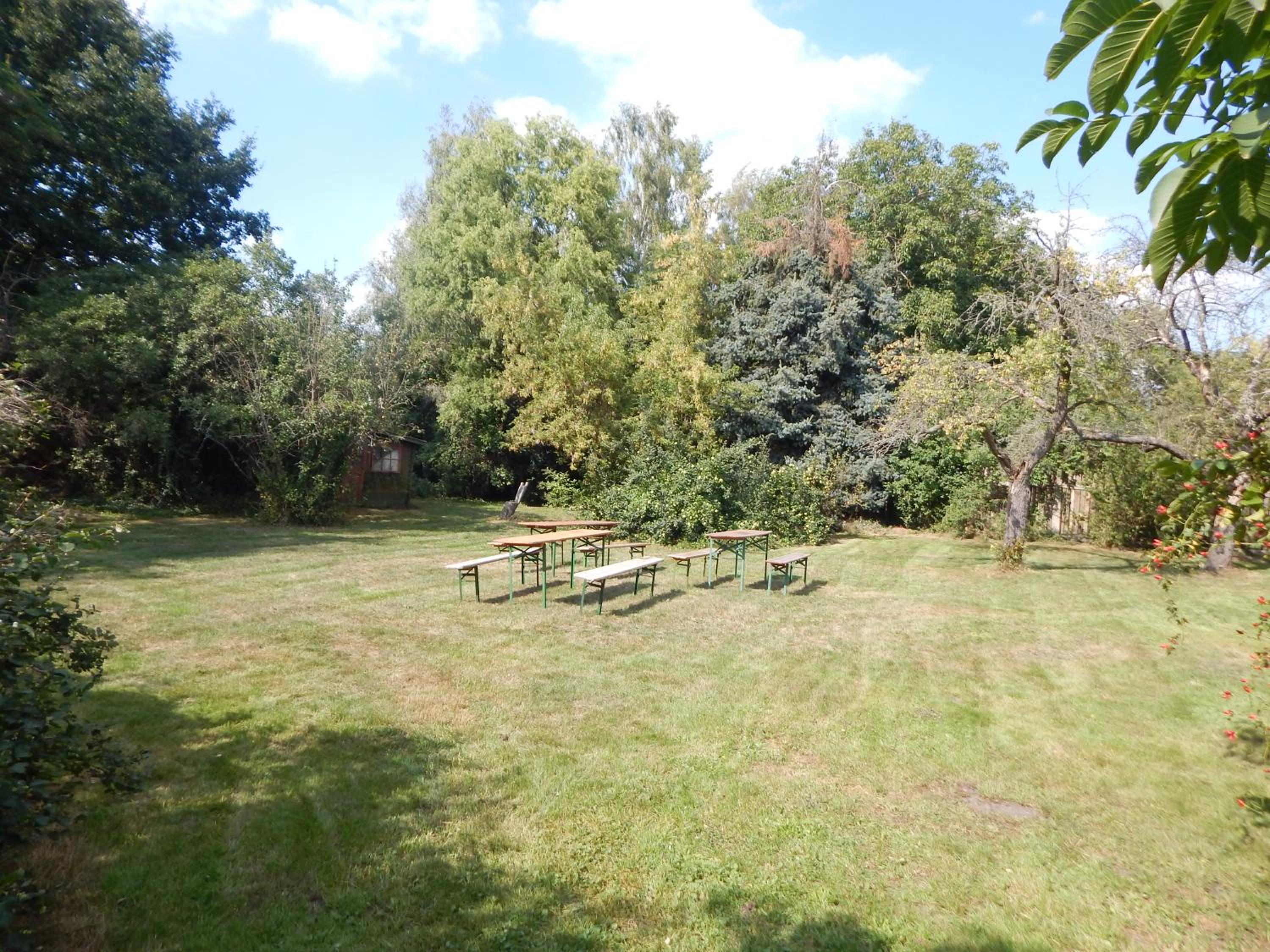 Photo 41