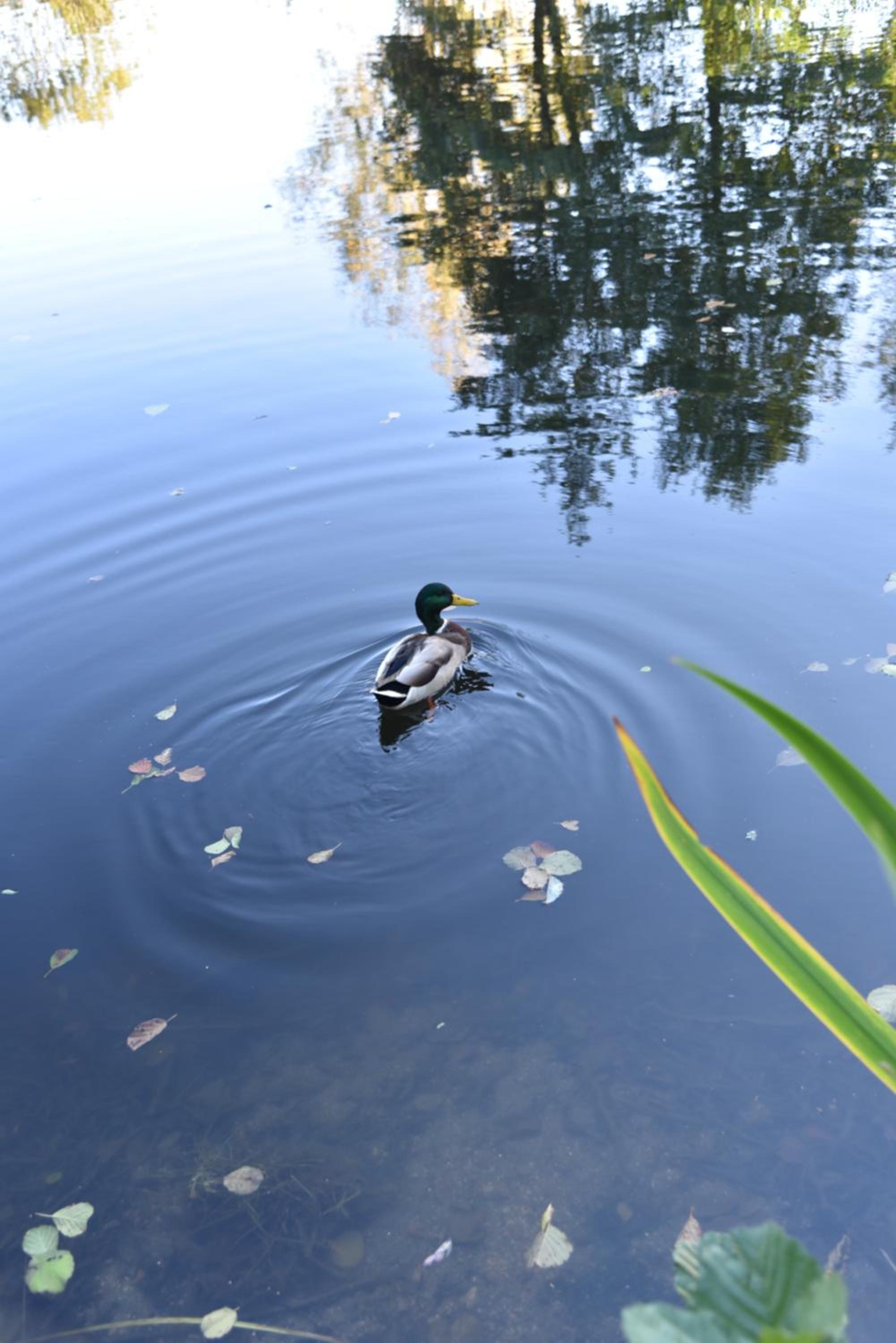 Photo 47