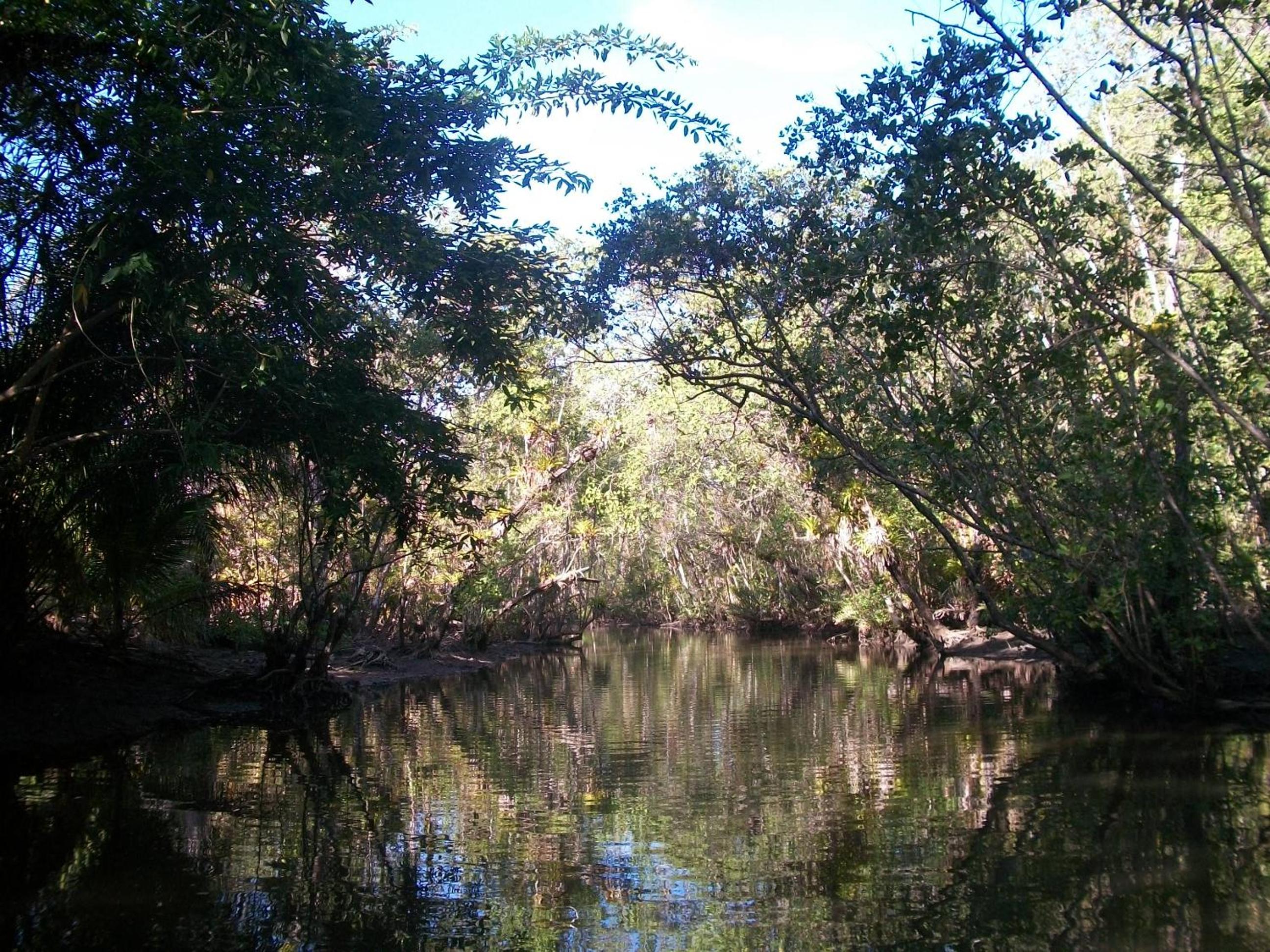 Photo 100