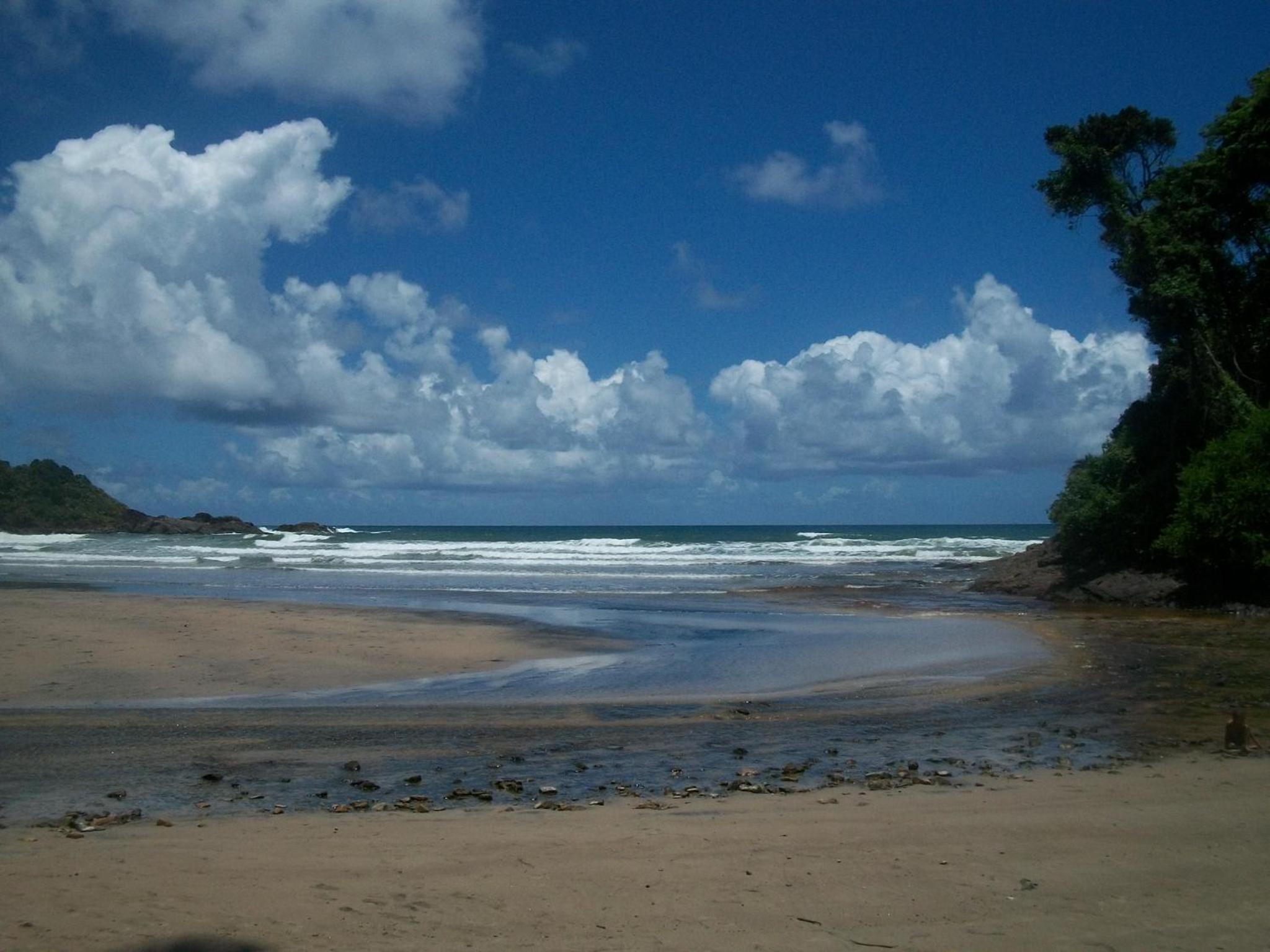 Photo 26