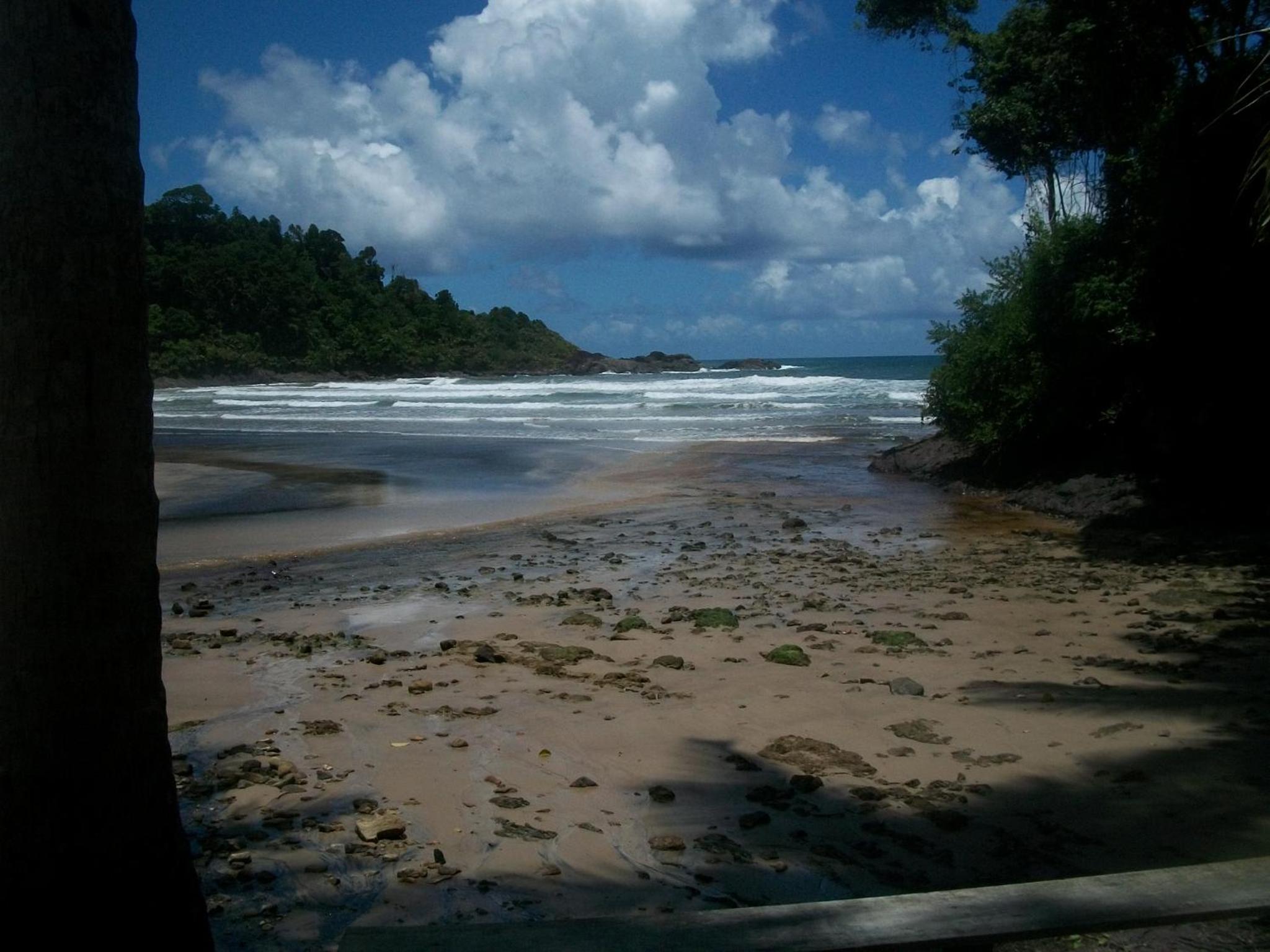 Photo 23
