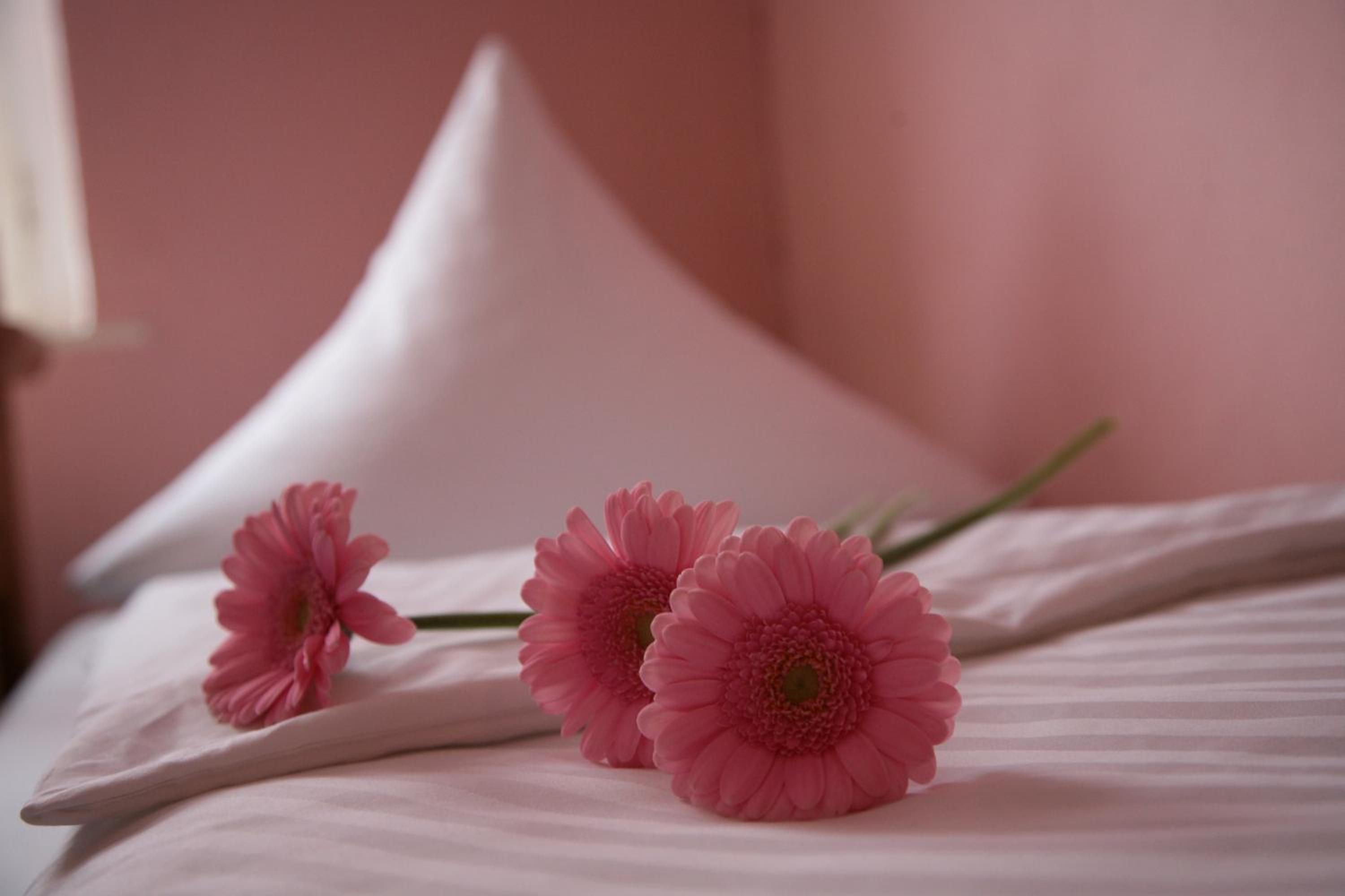 Hotel-Pension Adamshof