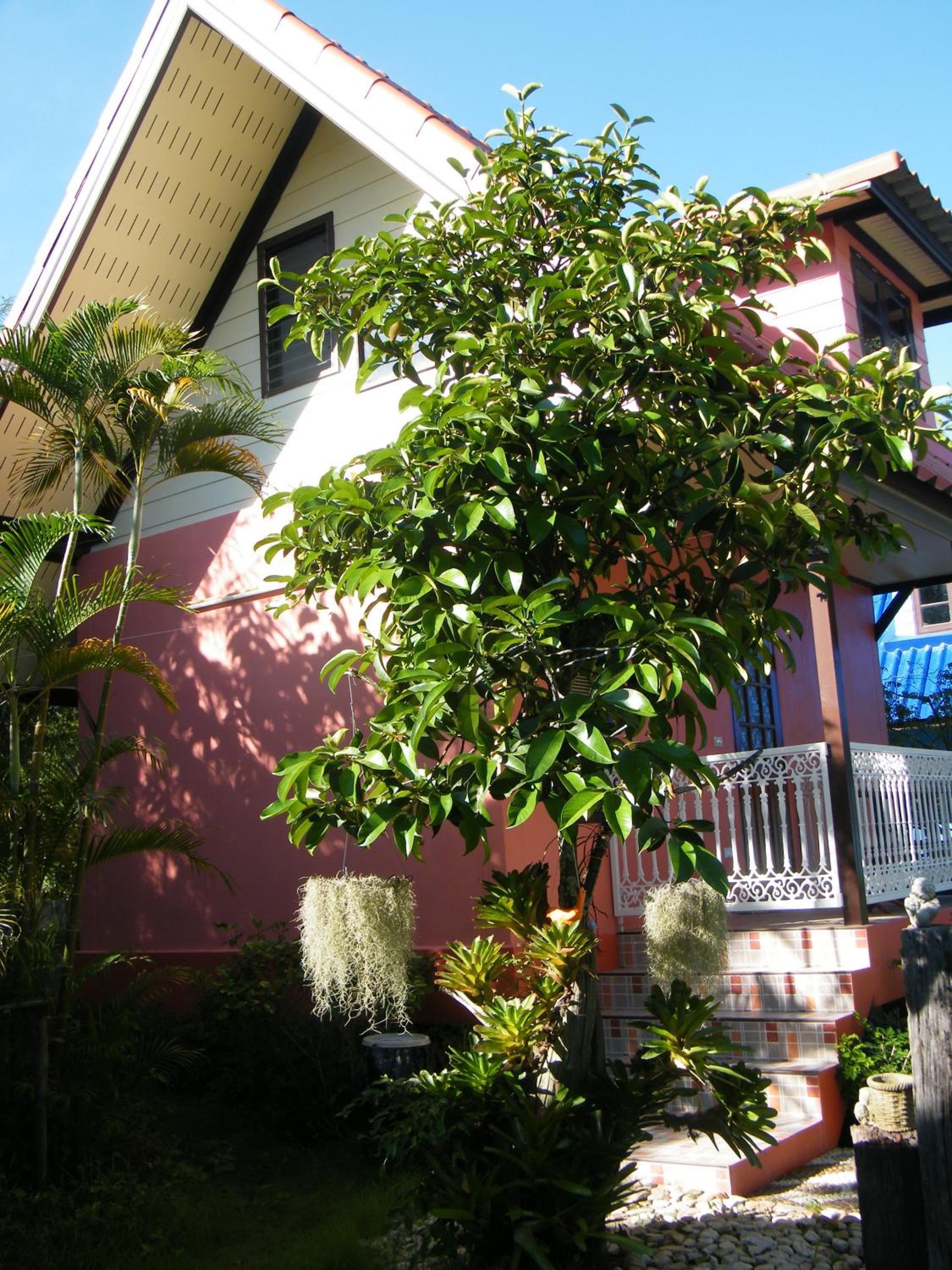 Ya Teng Homestay
