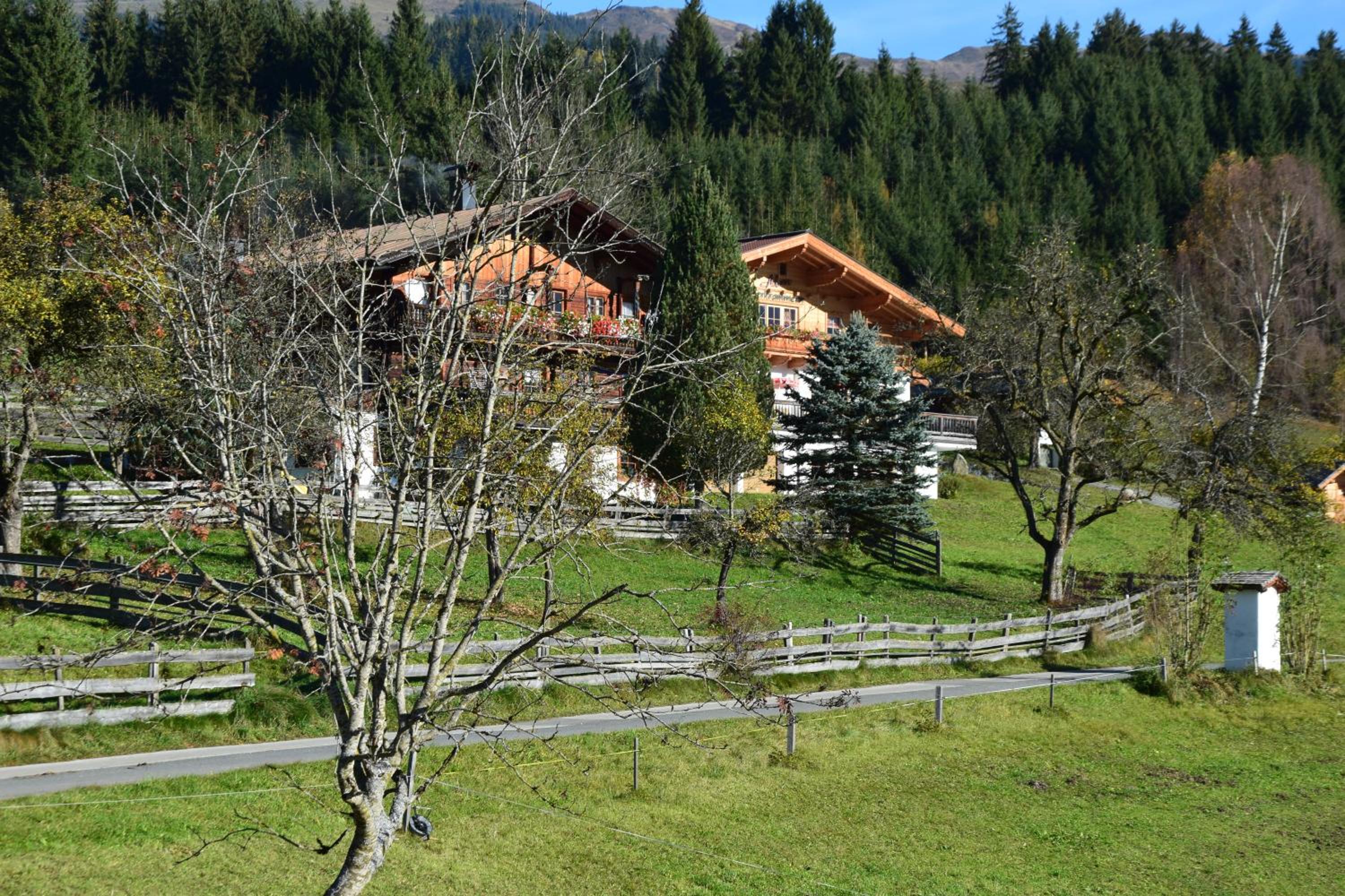 Apartment gmiatlich Wohnen