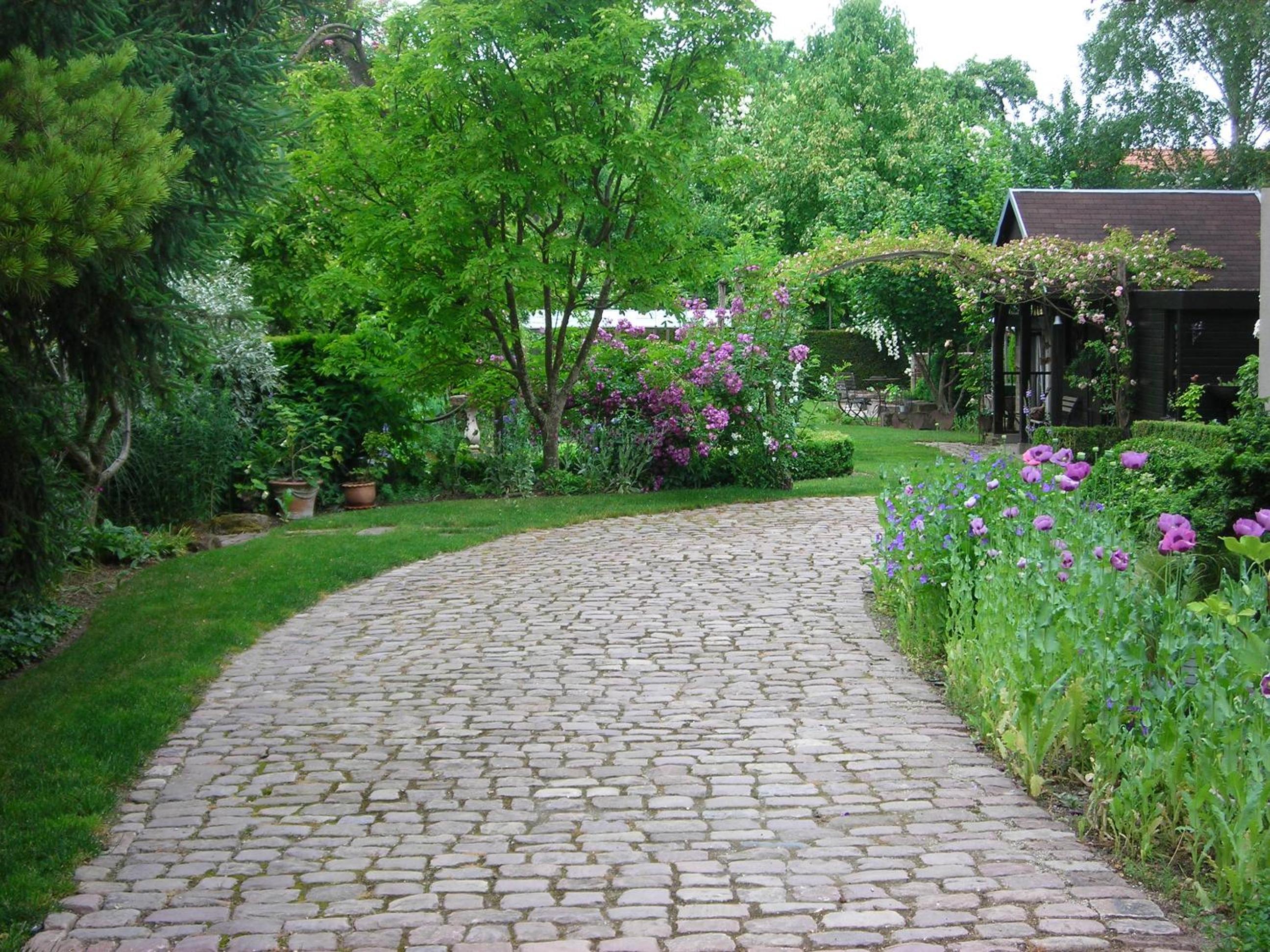 Photo 27