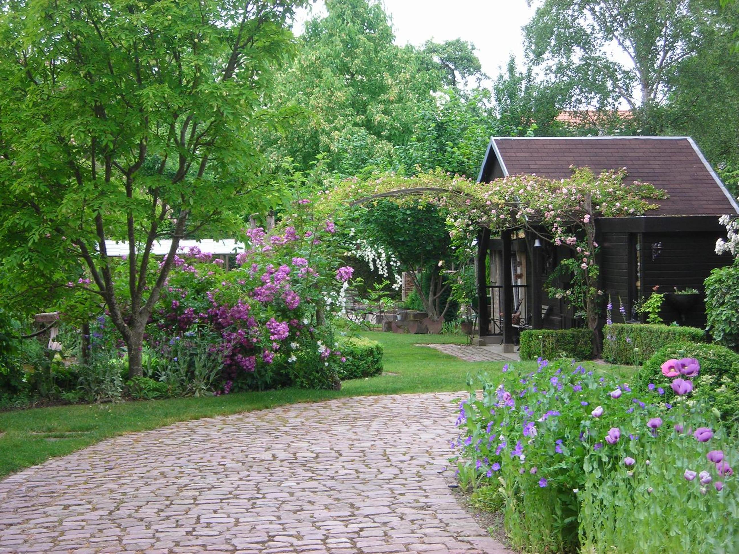 Photo 23
