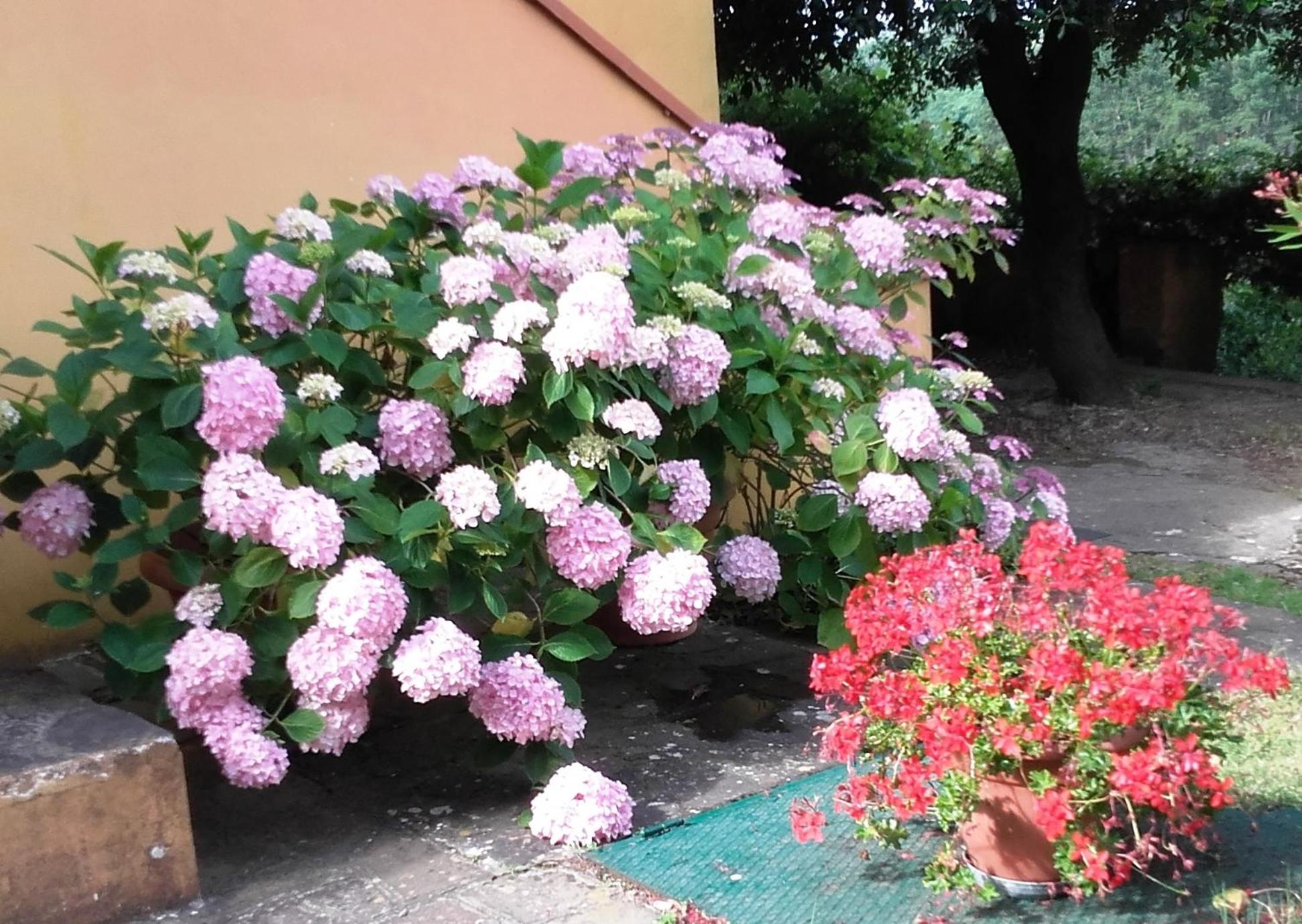 Photo 45