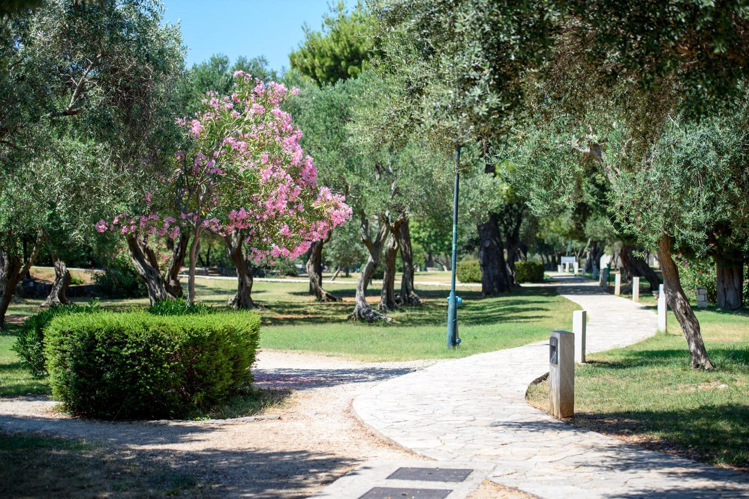 Apartments Mali Stradun