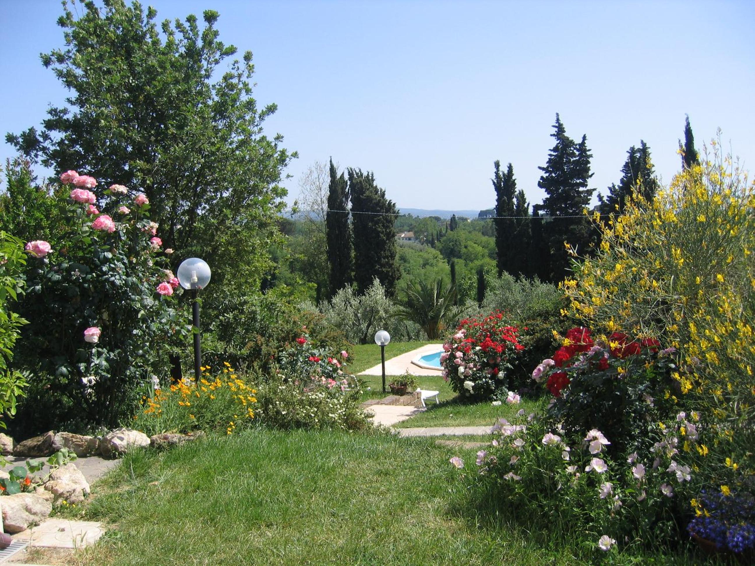 Photo 11