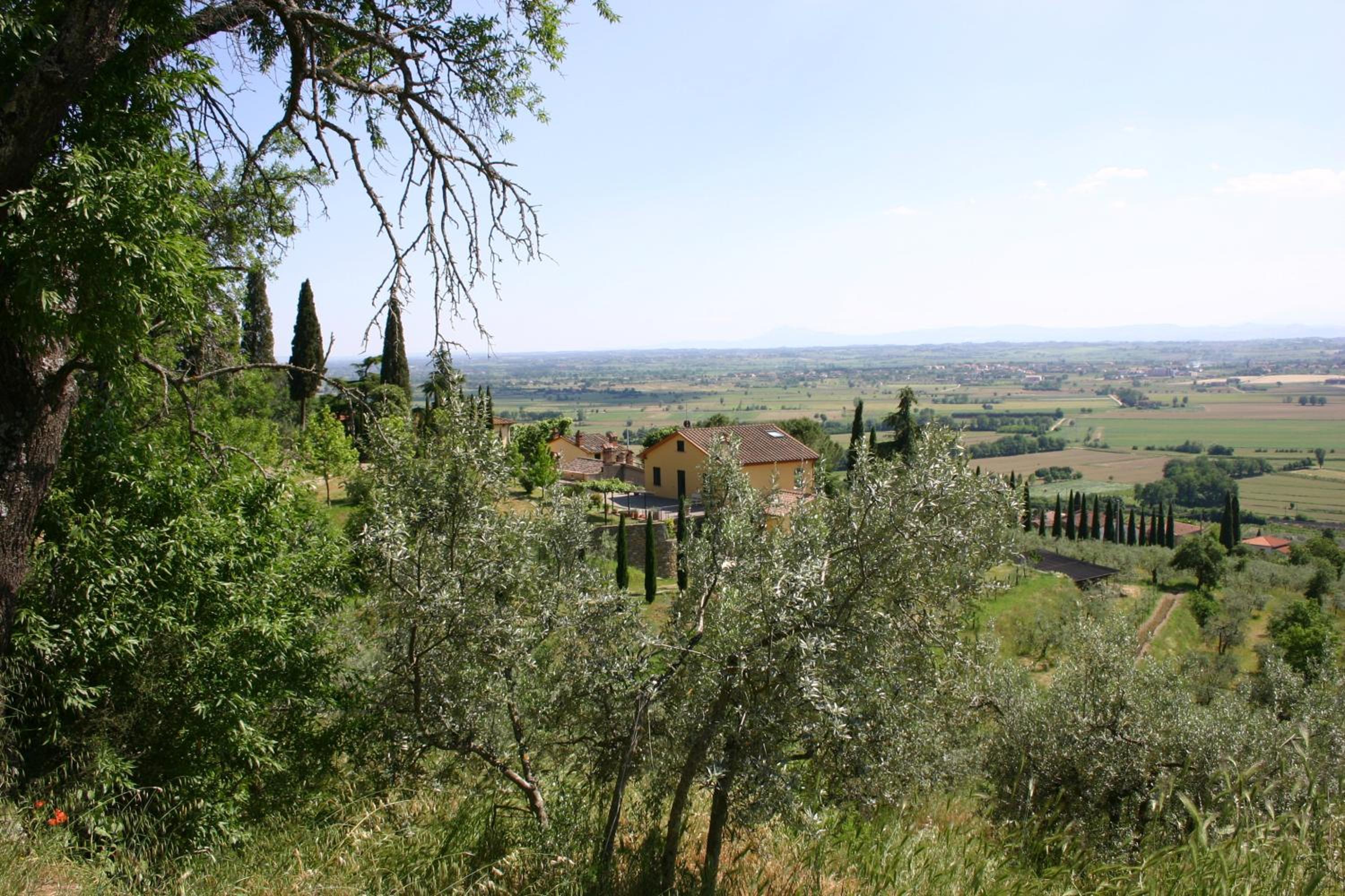 Cortona Vacations - La Maesta Tuscan Sun - Property Image 31