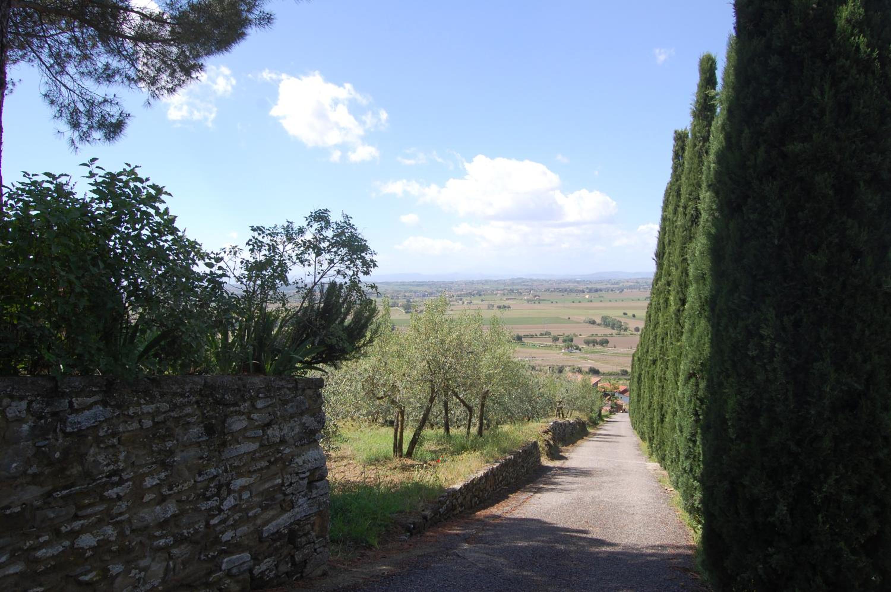 Cortona Vacations - La Maesta Tuscan Sun - Property Image 34