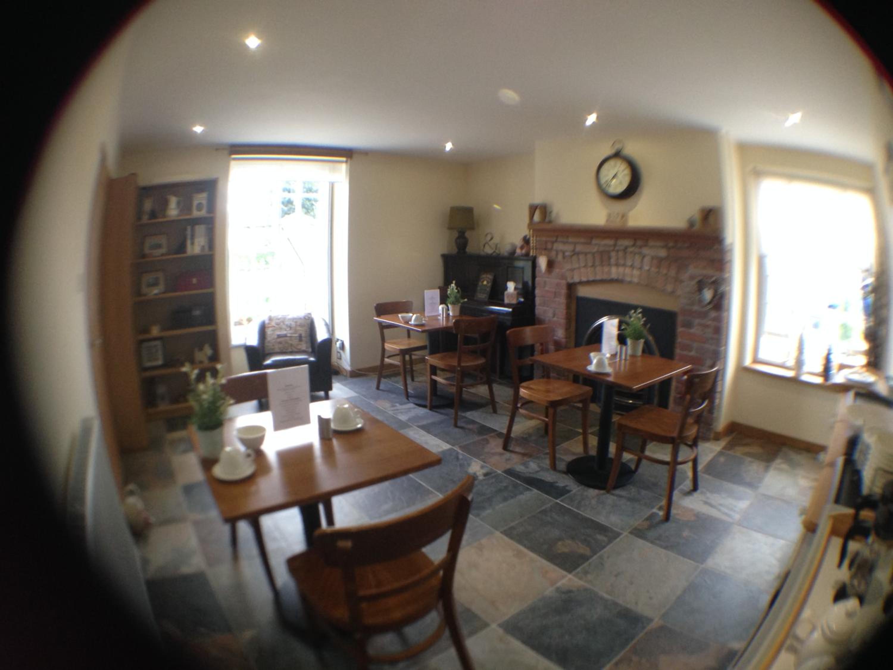 Photo 11
