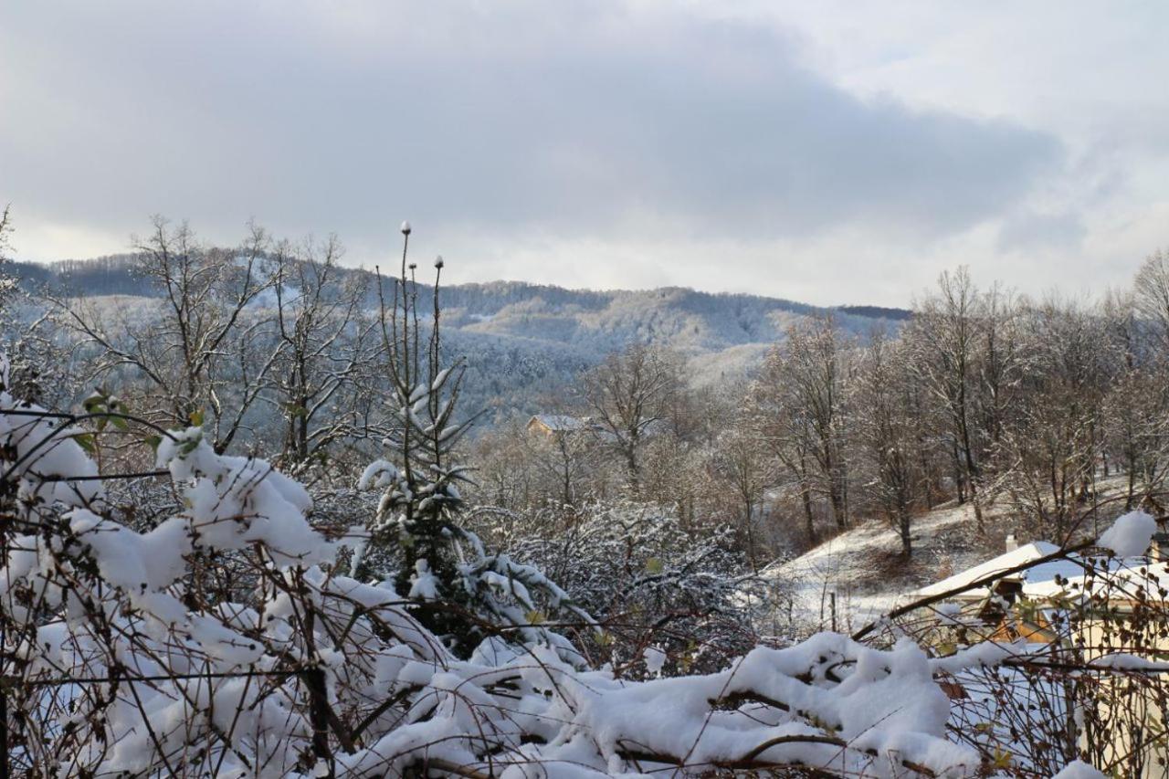Country House Kosiv, photo 50