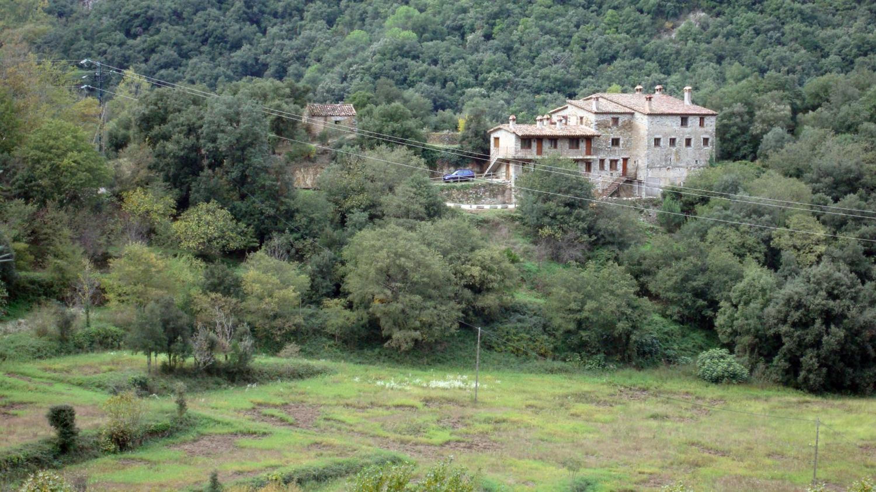 Photo 40
