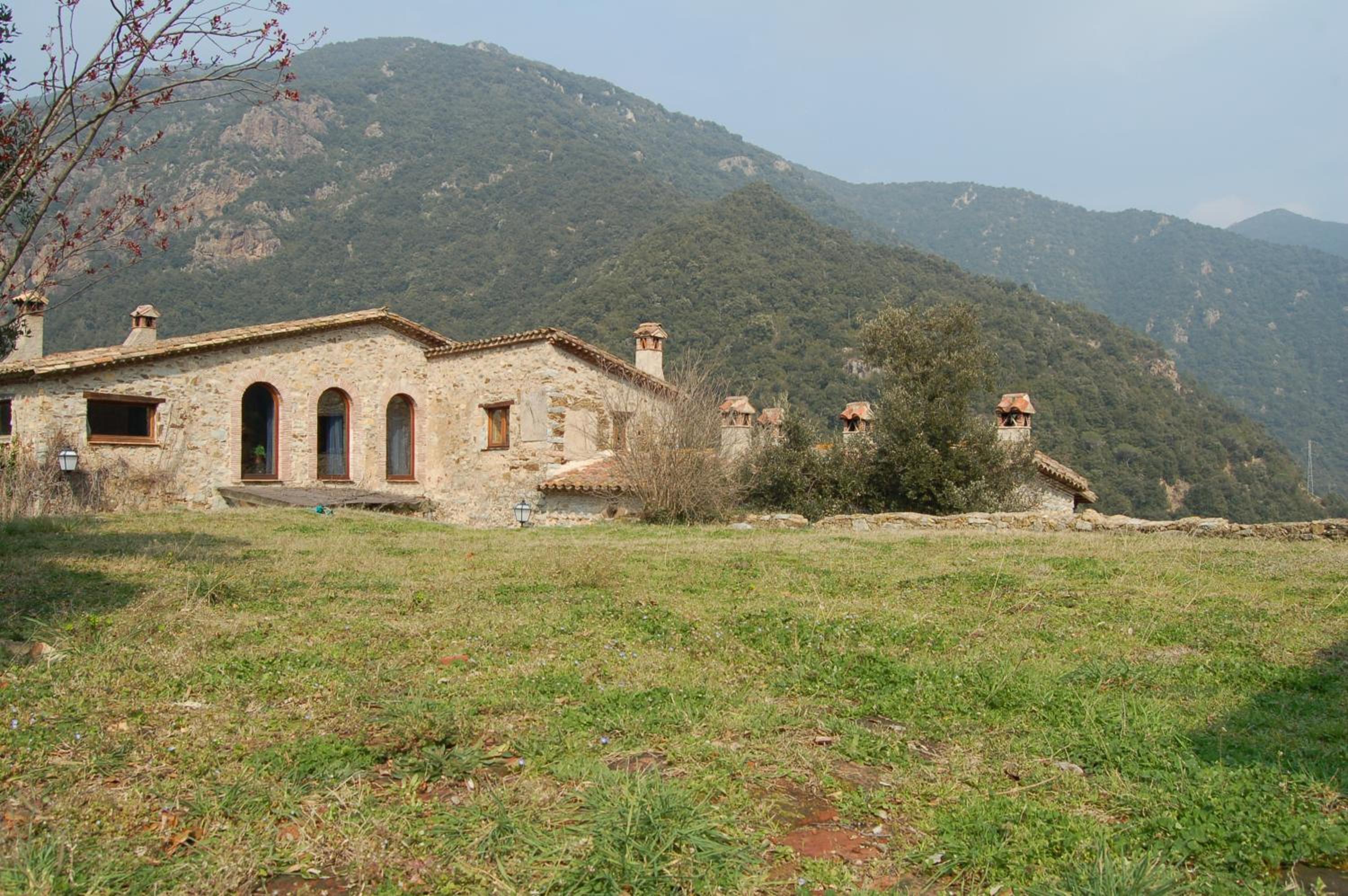 Photo 42