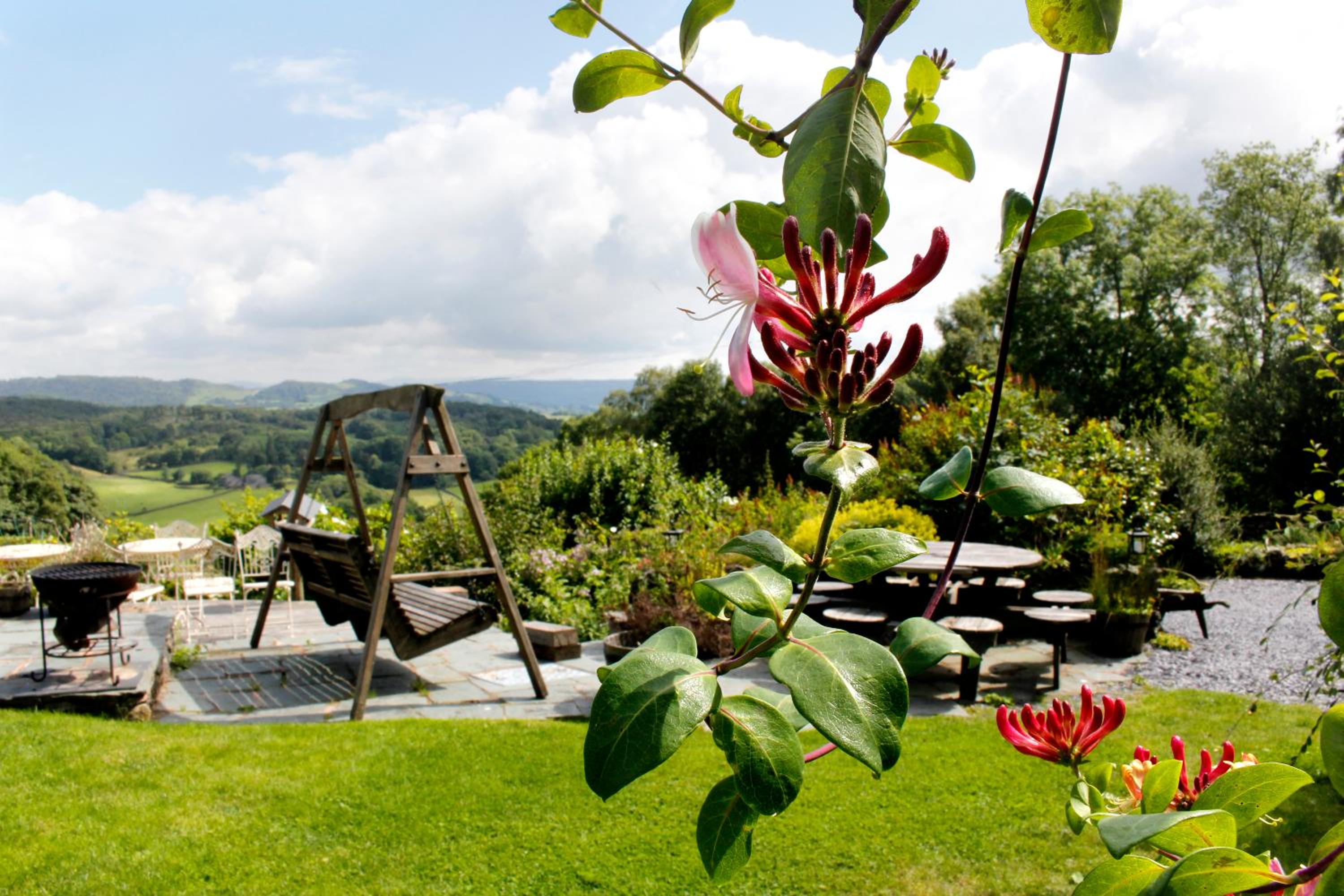 Summerhill Cottage view 2