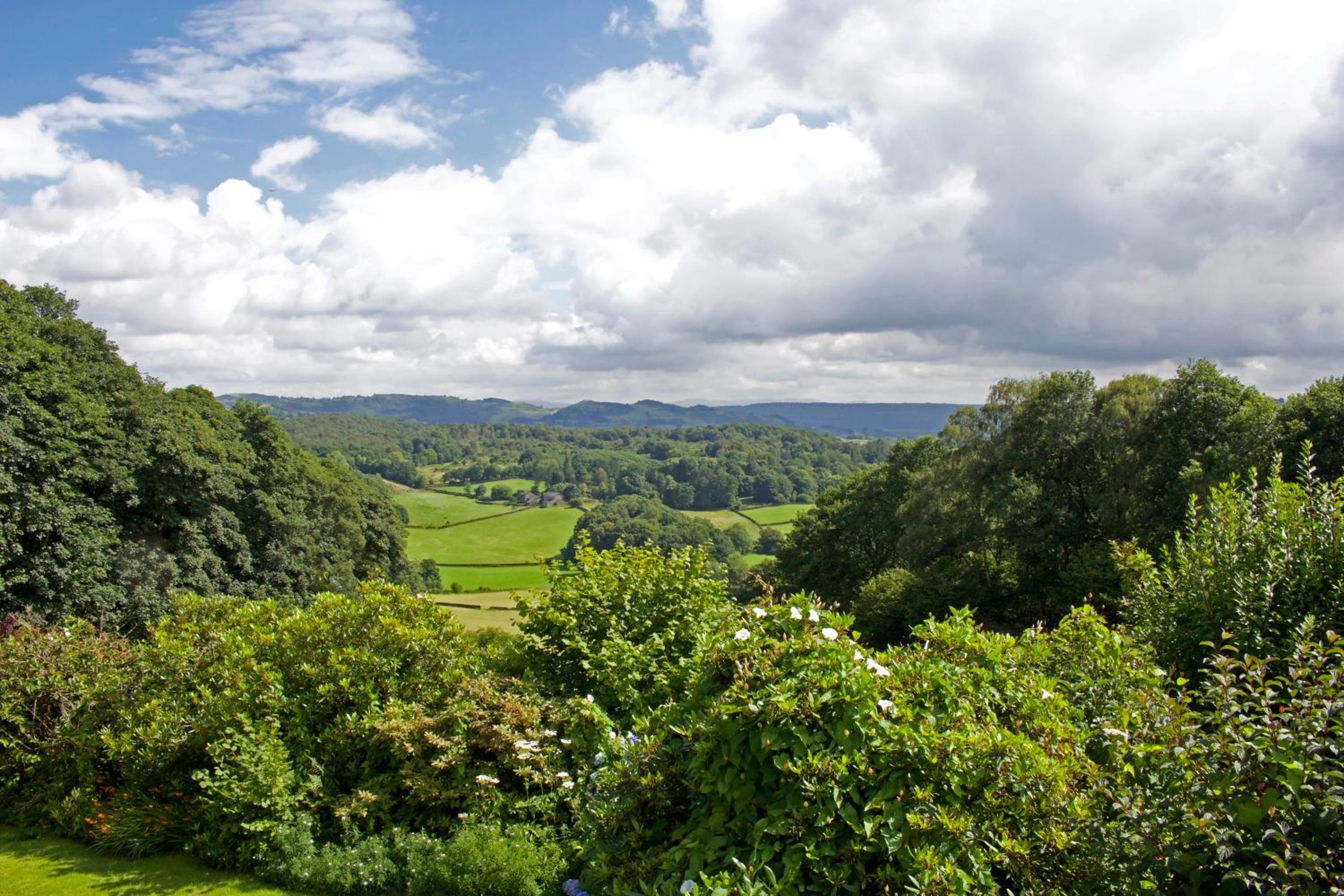 Summerhill Cottage view 3