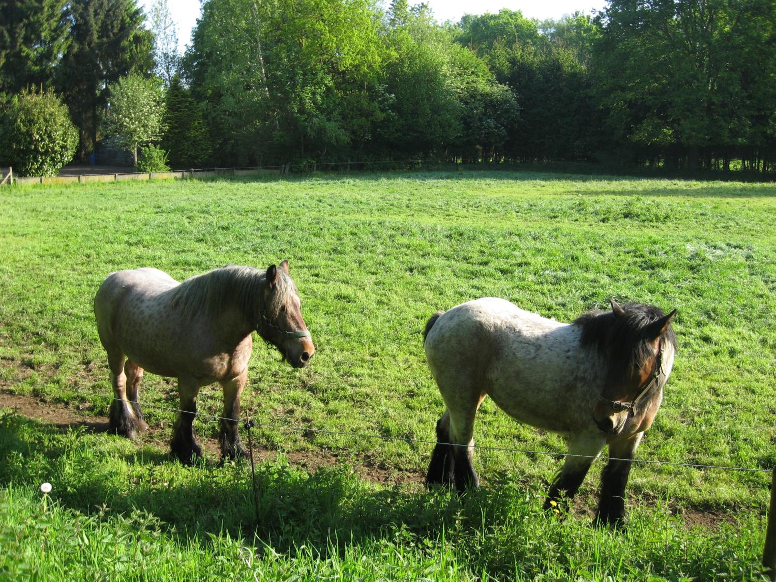 Photo 43