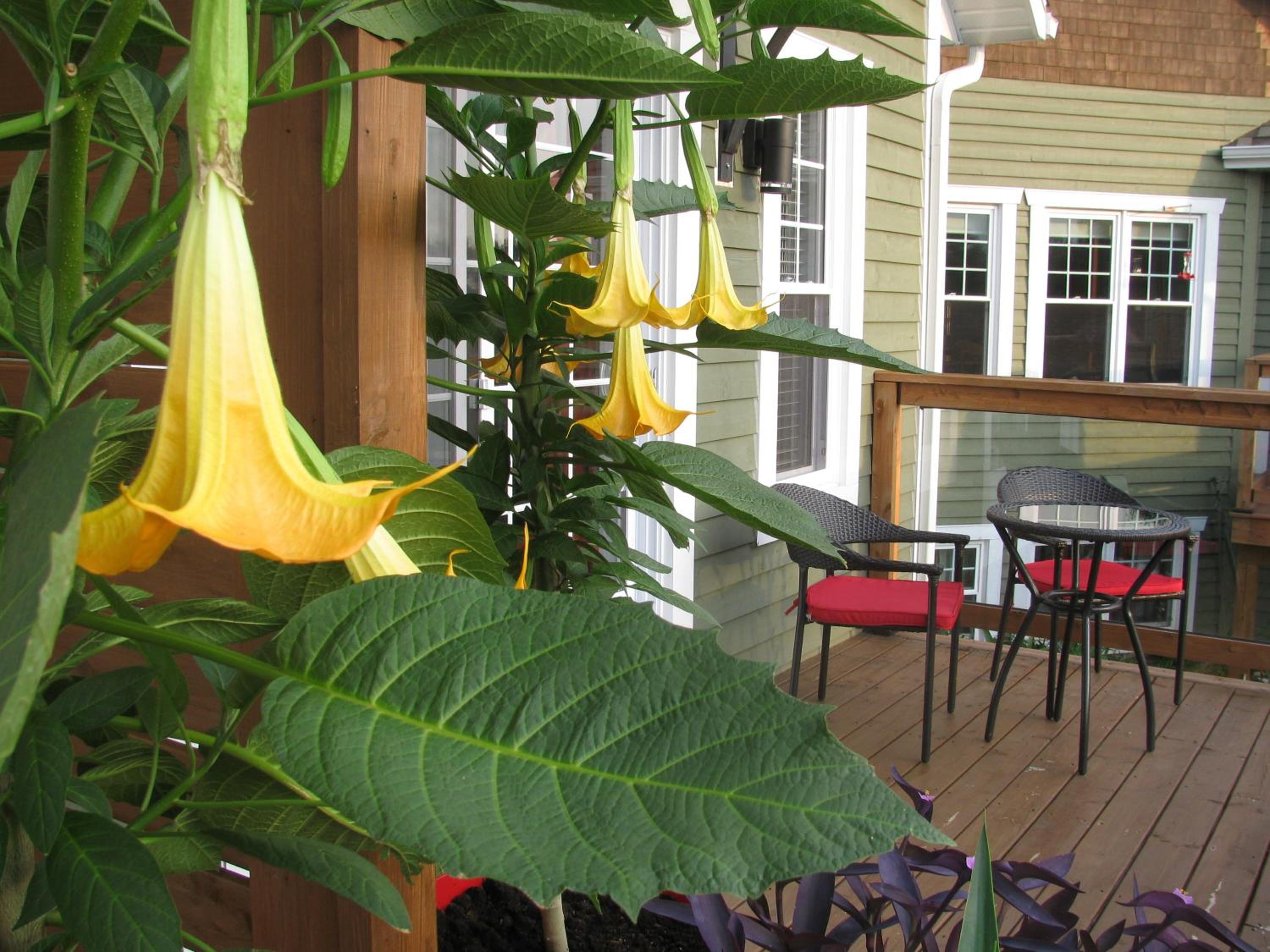 Gî'Temps couette et café B&B