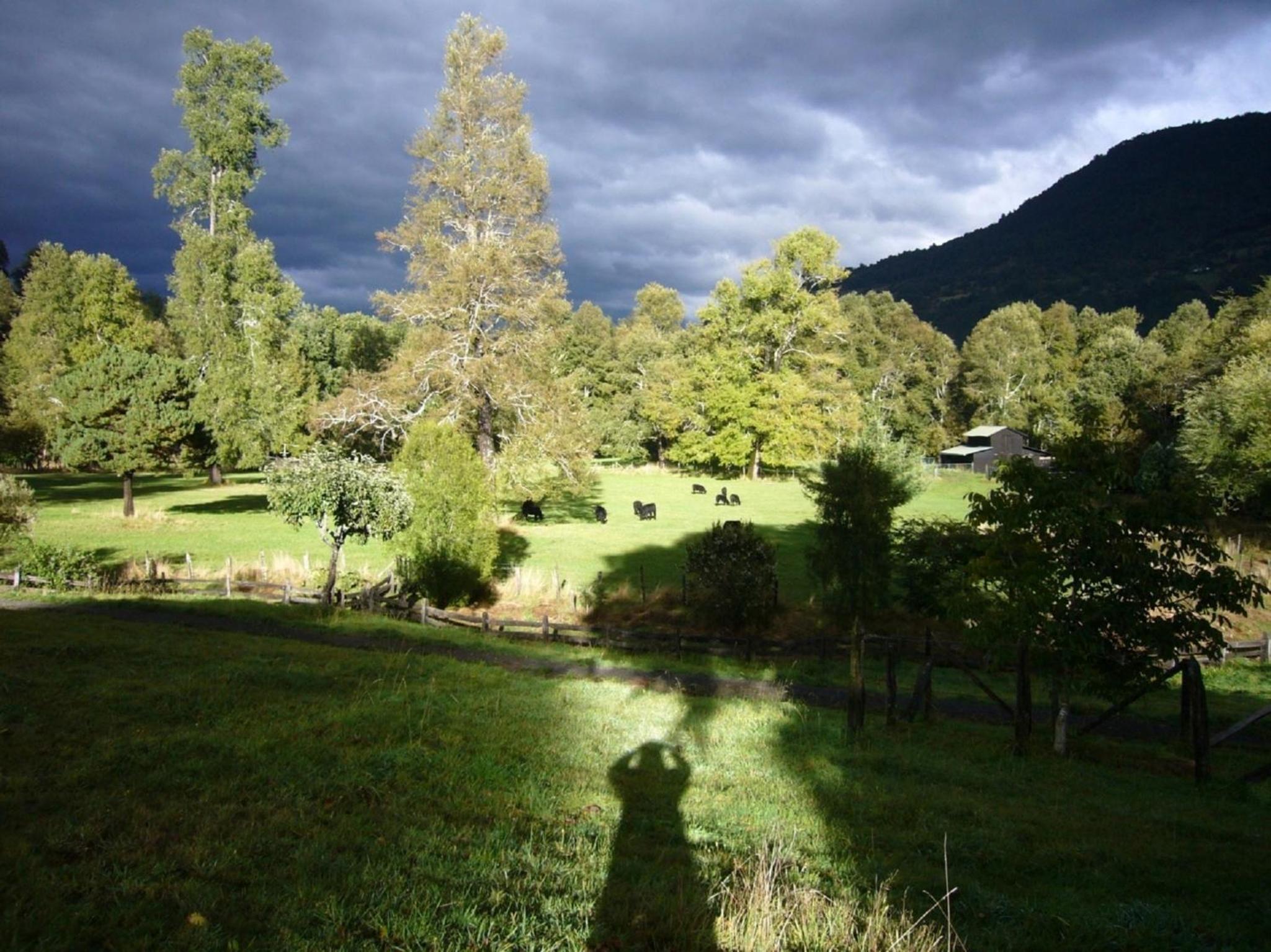 Photo 22