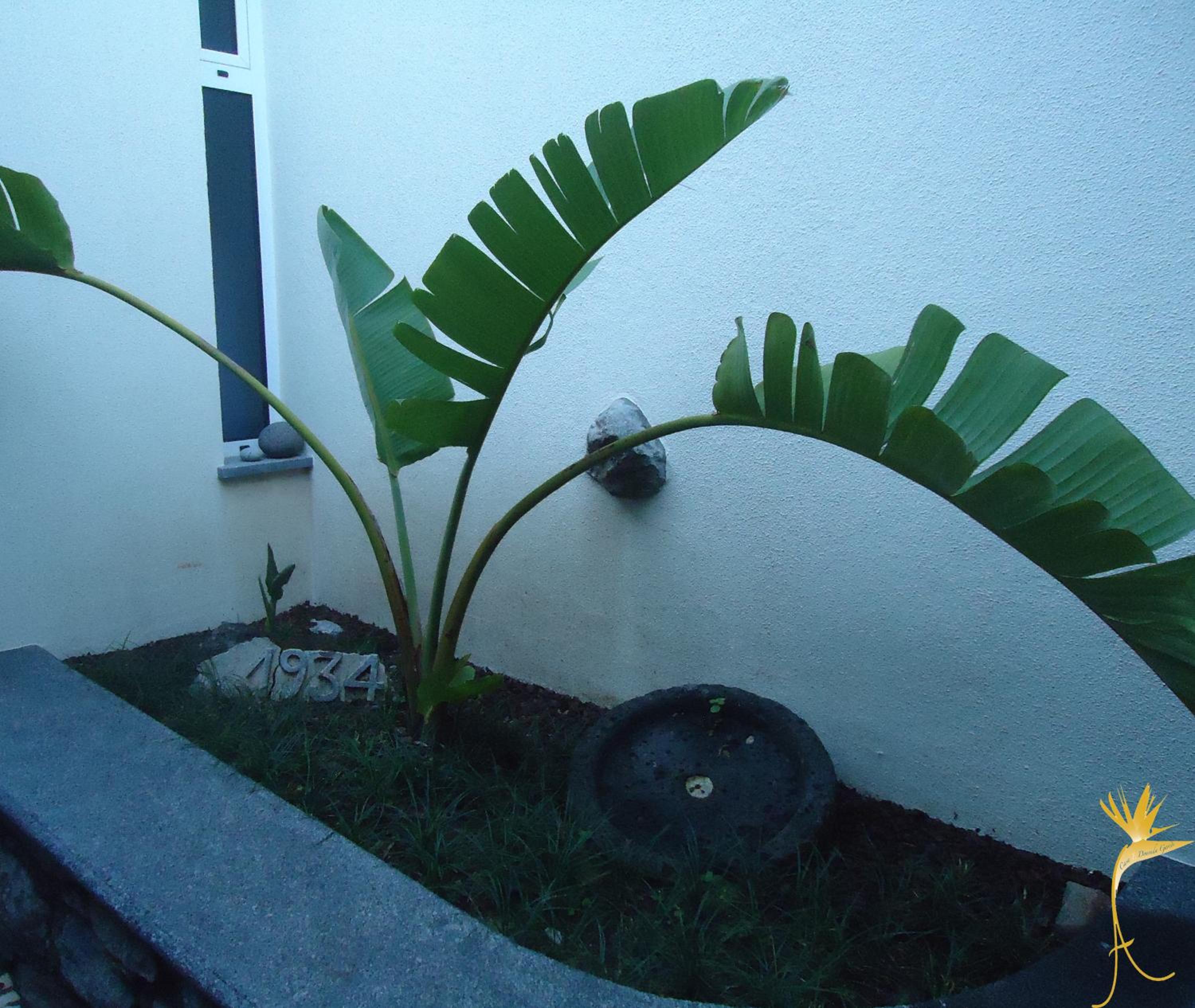 Photo 34