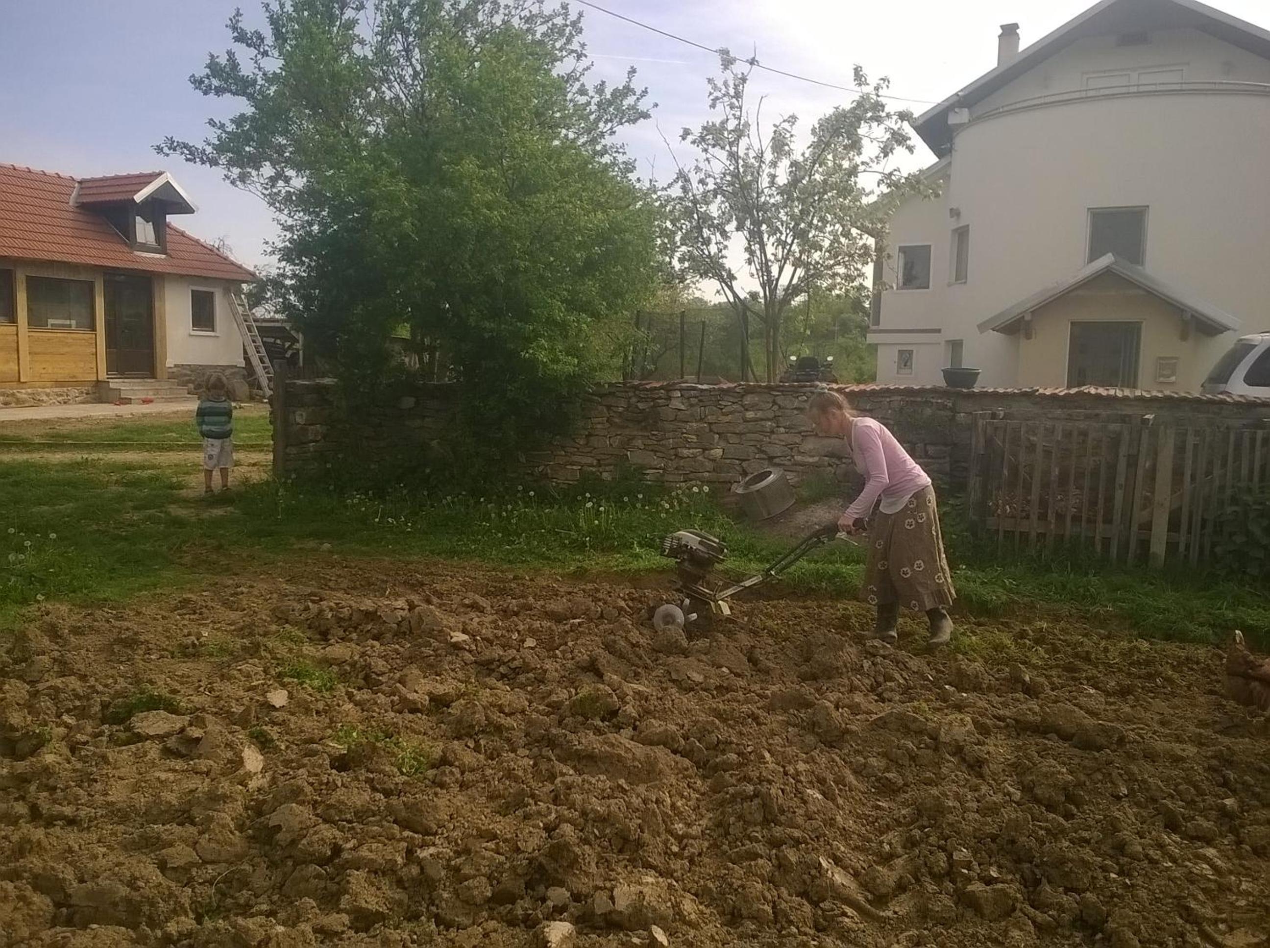 Photo 71