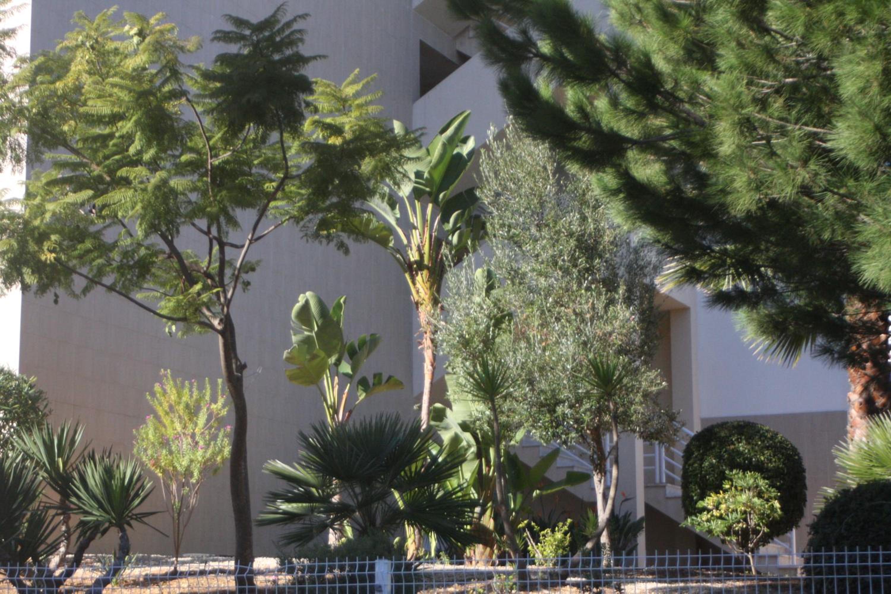 Albufeira Lovely new Apartment W/ Pool view 5