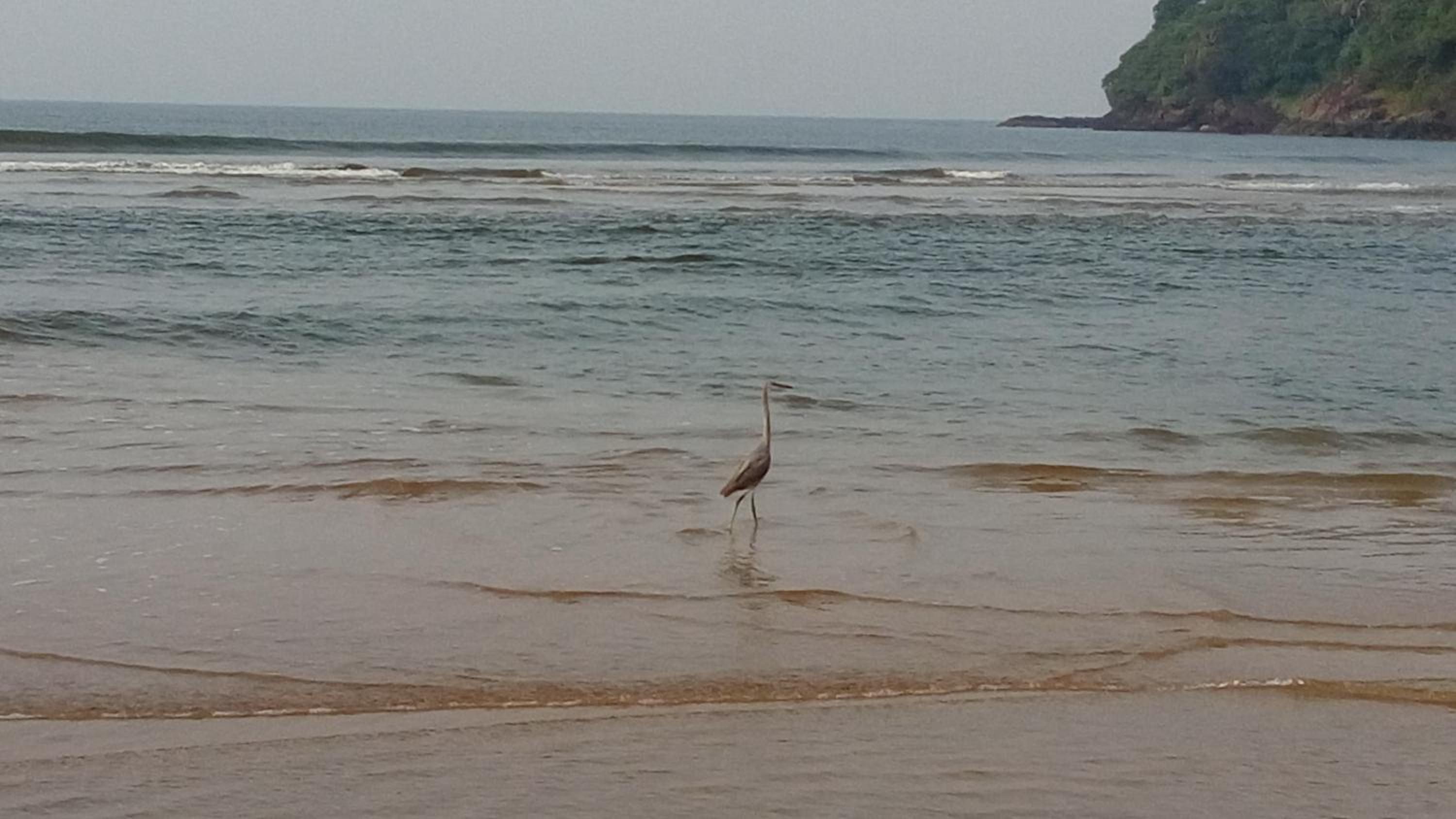Agonda Paradise