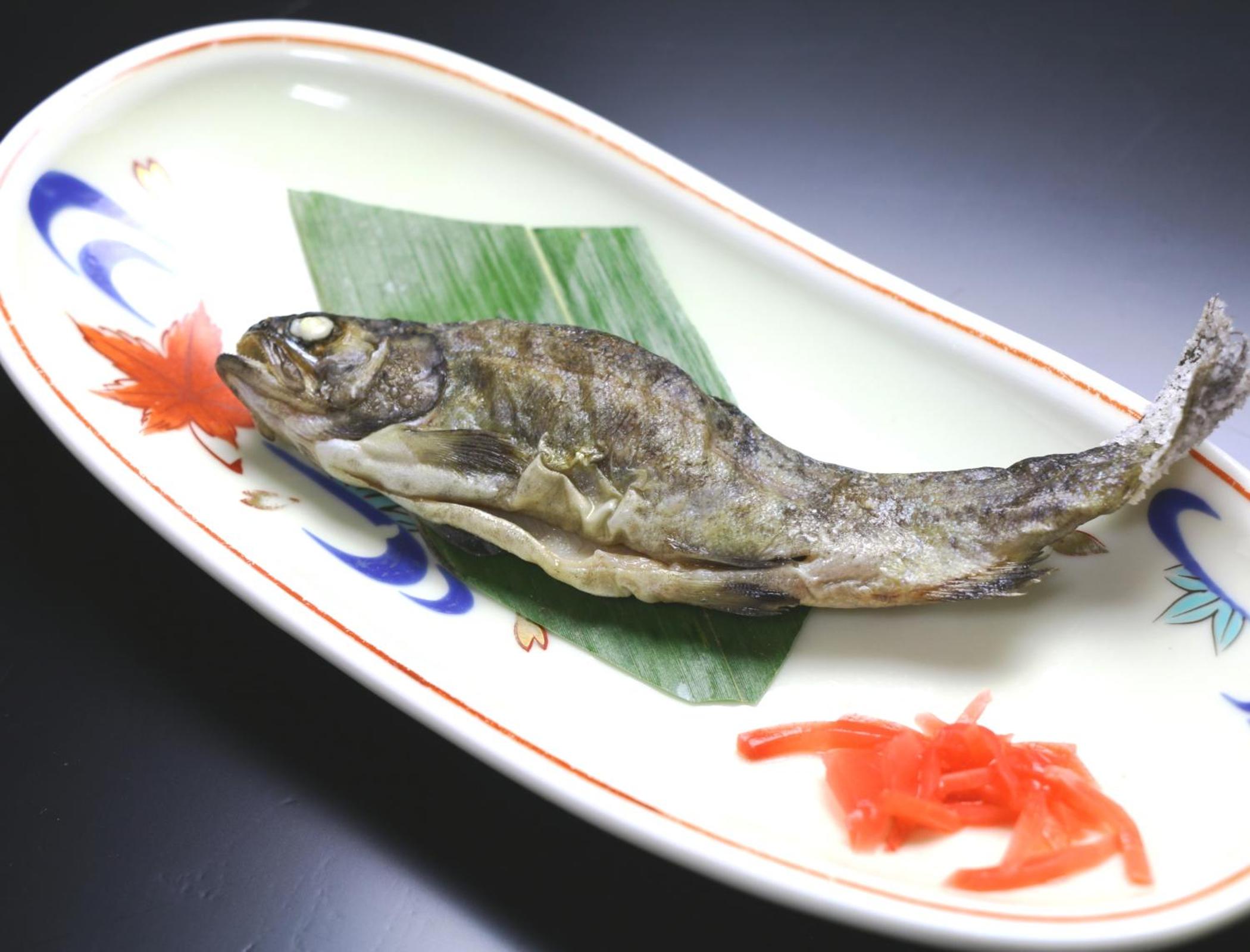 Miyamaso