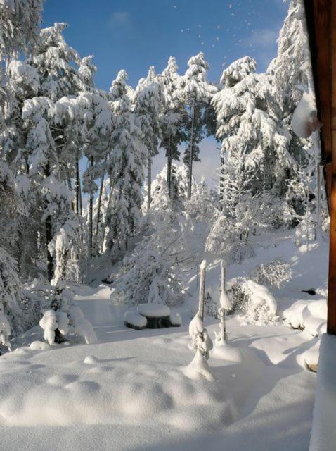 outdoor BBQ area